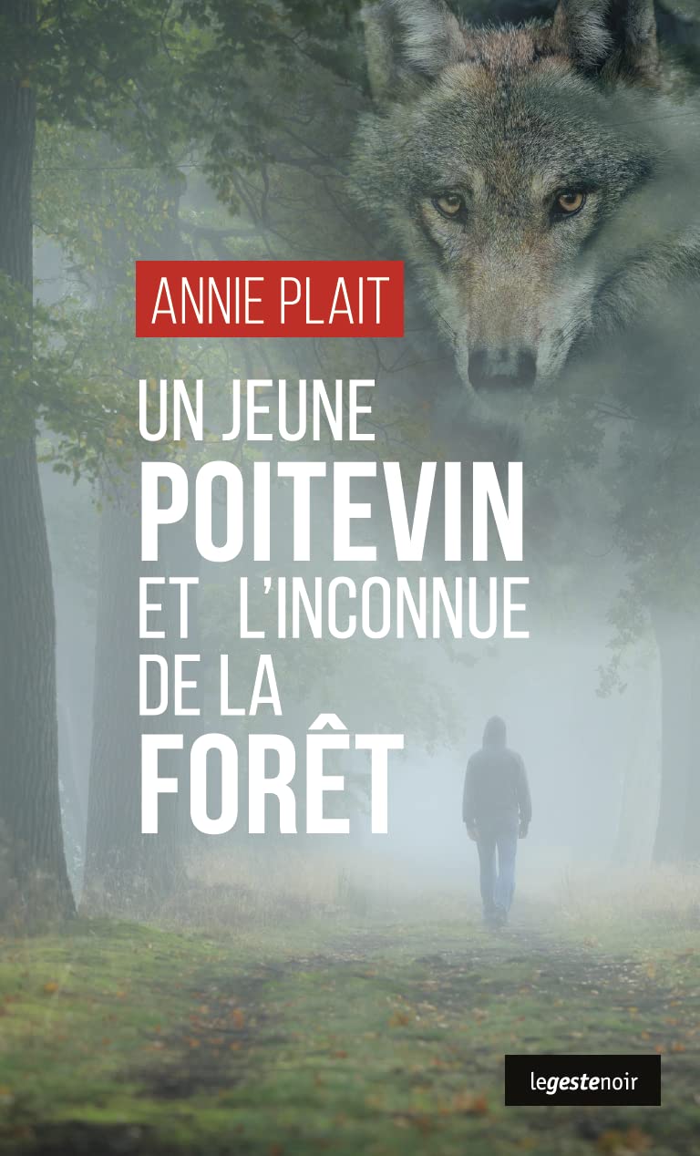 Un jeune Poitevin et l'inconnue de la forêt book