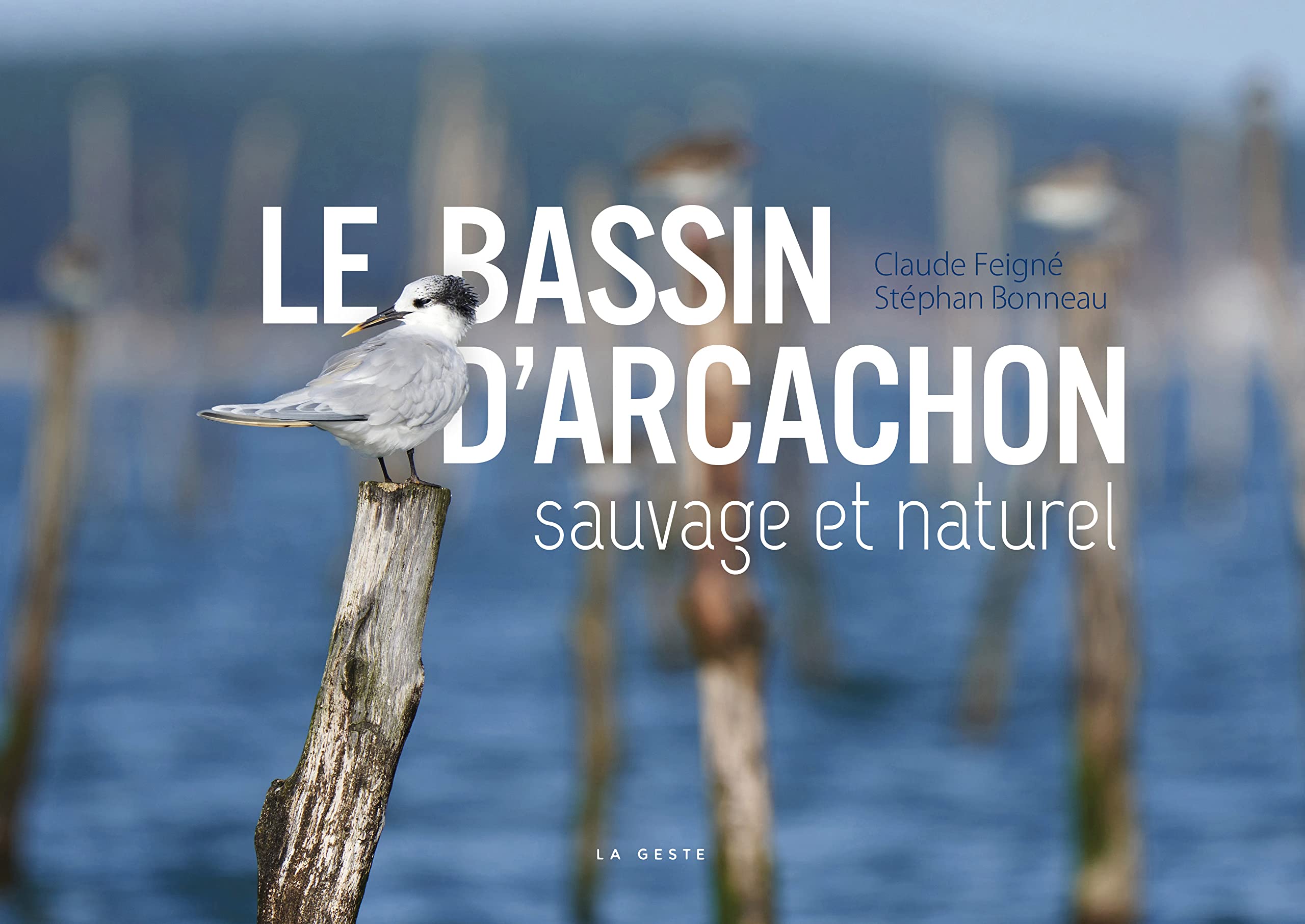 Le Bassin d'Arcachon sauvage et naturel book