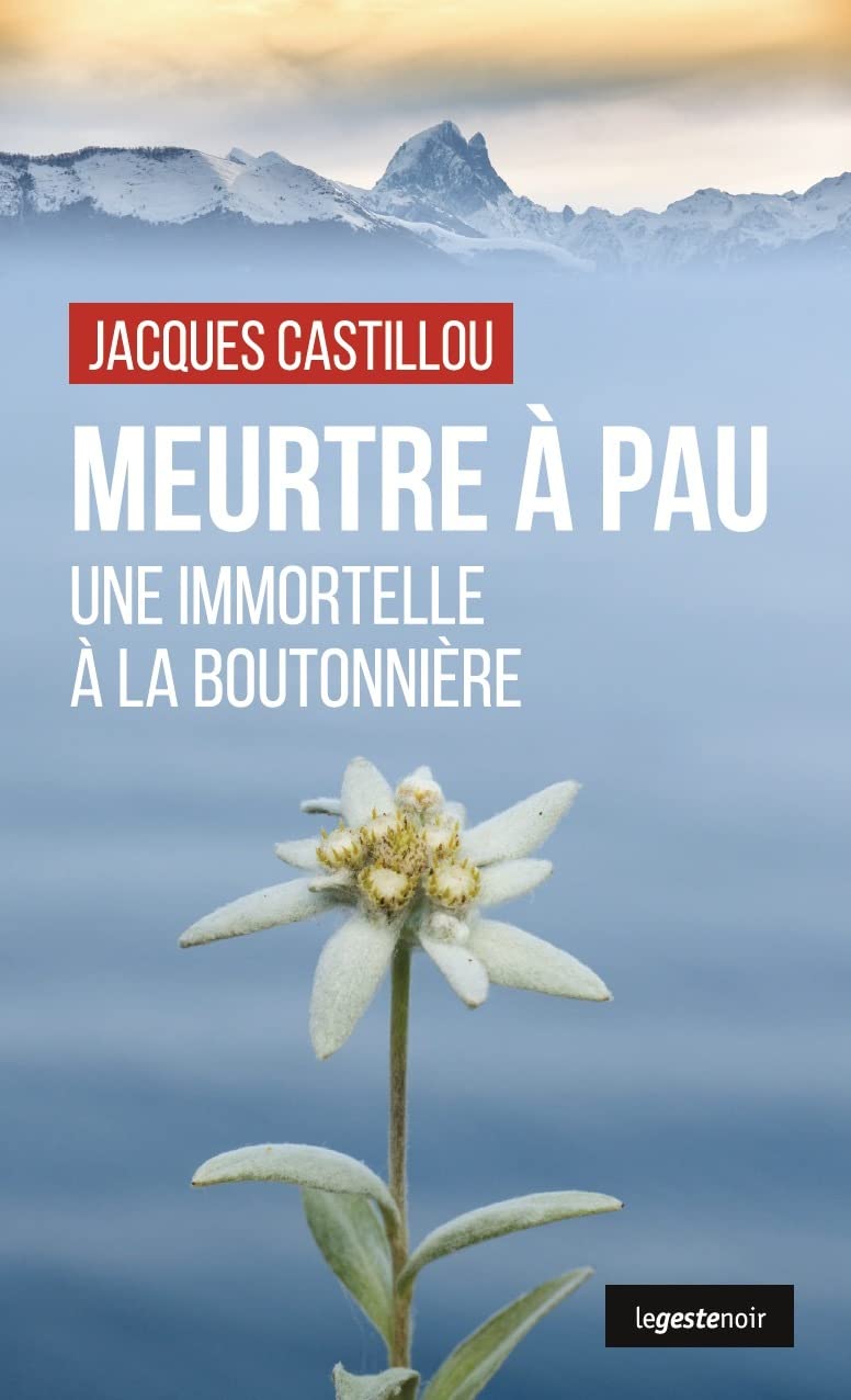 Meurtre à Pau - Une immortelle à la boutonnière book