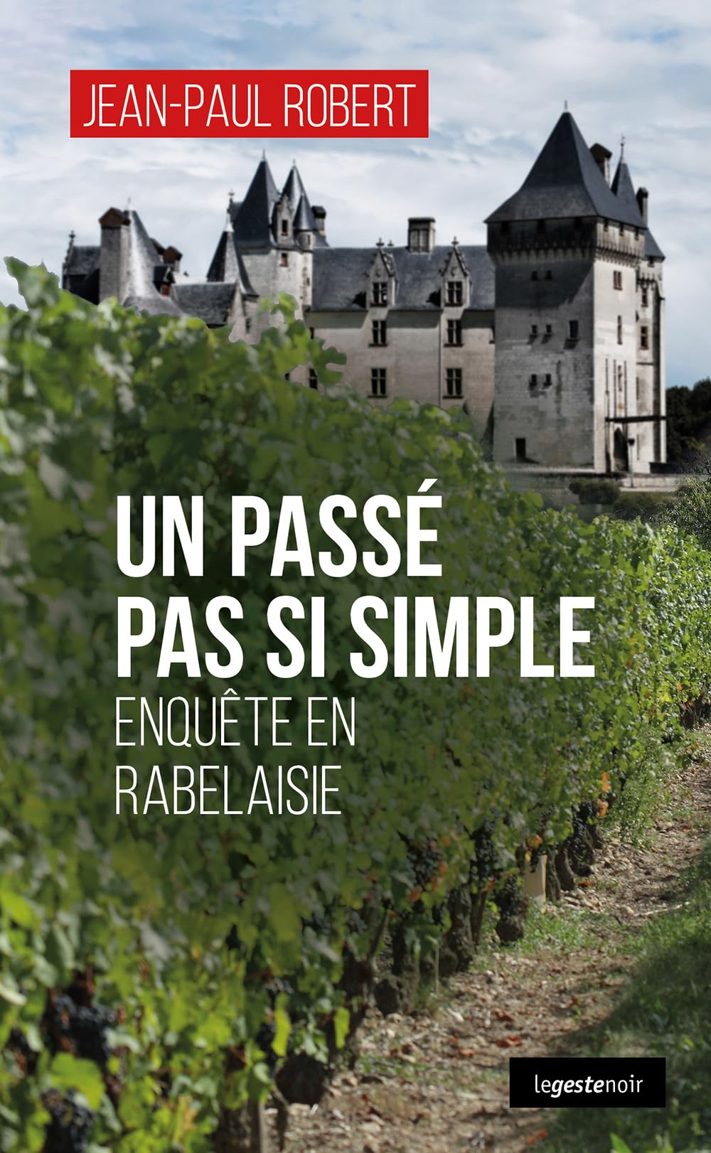 Un passé pas si simple - Enquête en Rabelaisie book