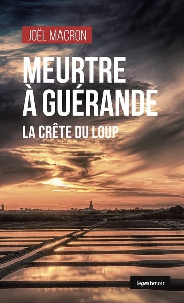 Meurtre à Guérande : la crête du Loup book
