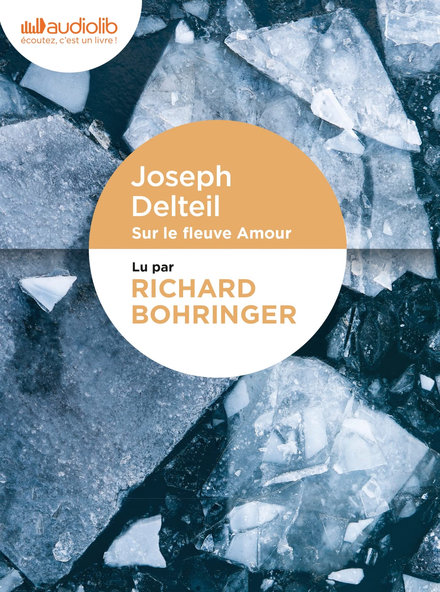 Sur le fleuve Amour: Livre audio 2 CD Audio cd