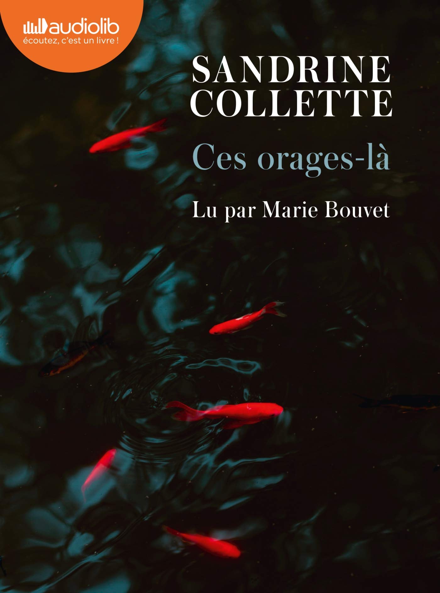 Ces orages-là: Livre audio 1 CD MP3 book