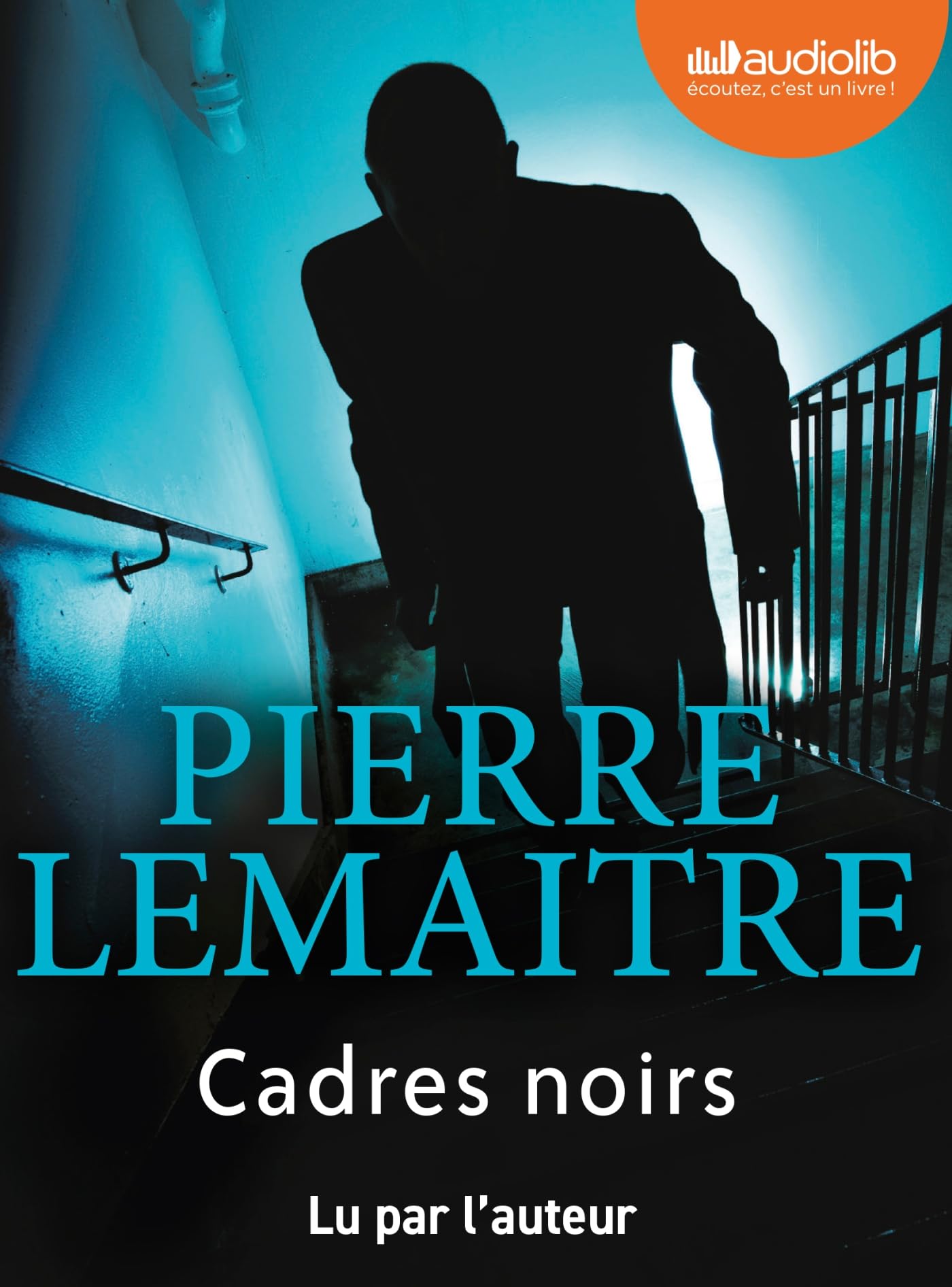 Cadres noirs: Livre audio 2 CD MP3 book