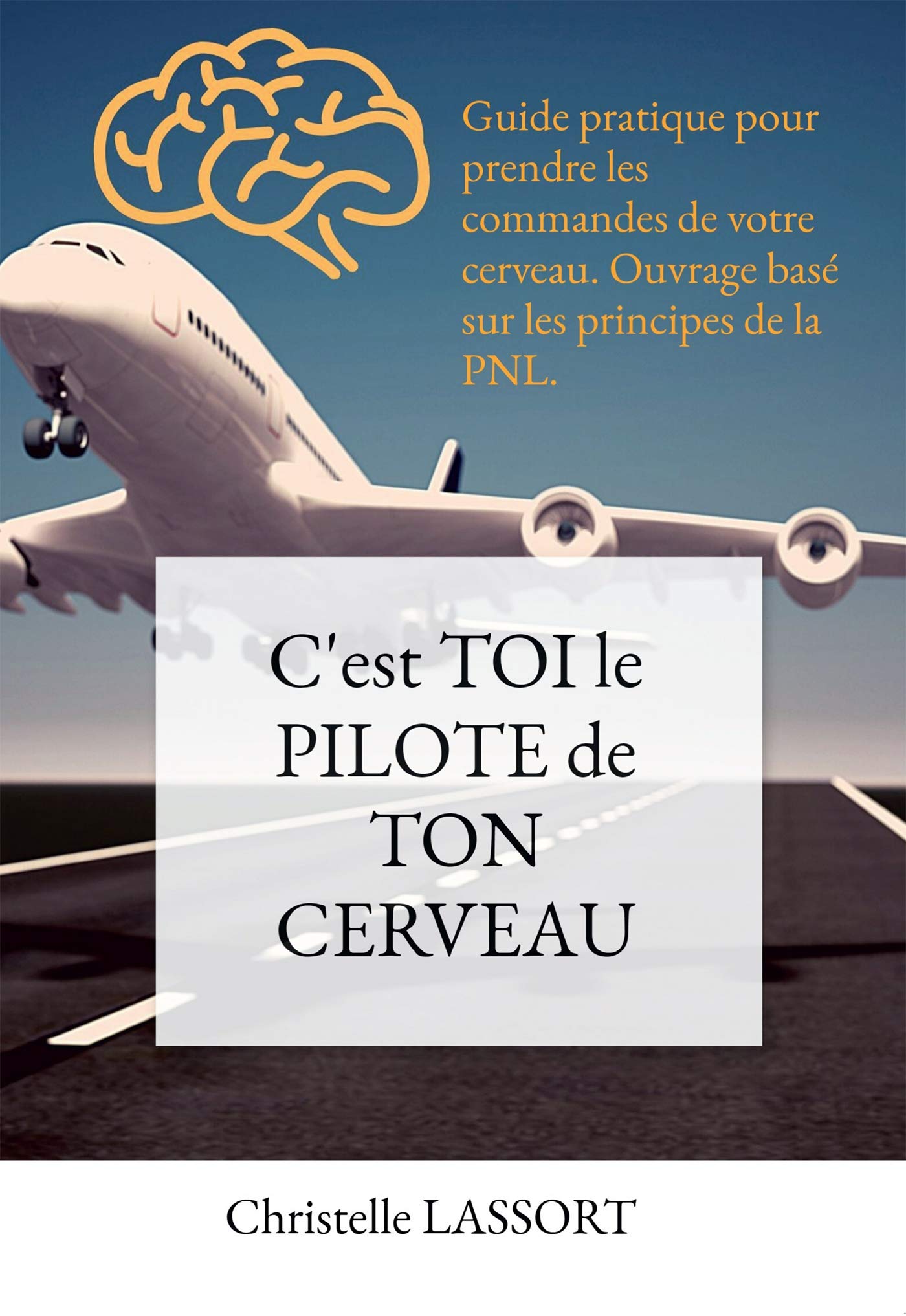 C'est TOI le PILOTE de TON CERVEAU book