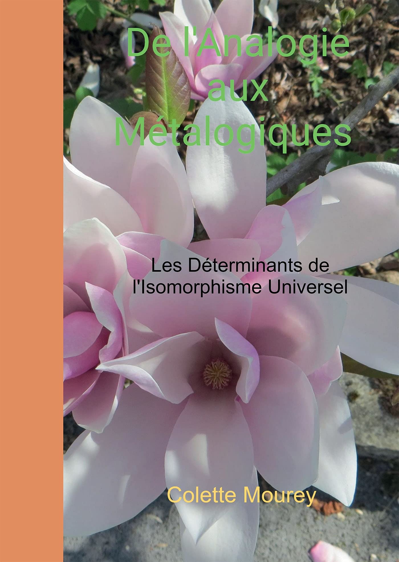 De l'Analogie aux Métalogiques: Les Déterminants de l'Isomorphisme Universel book