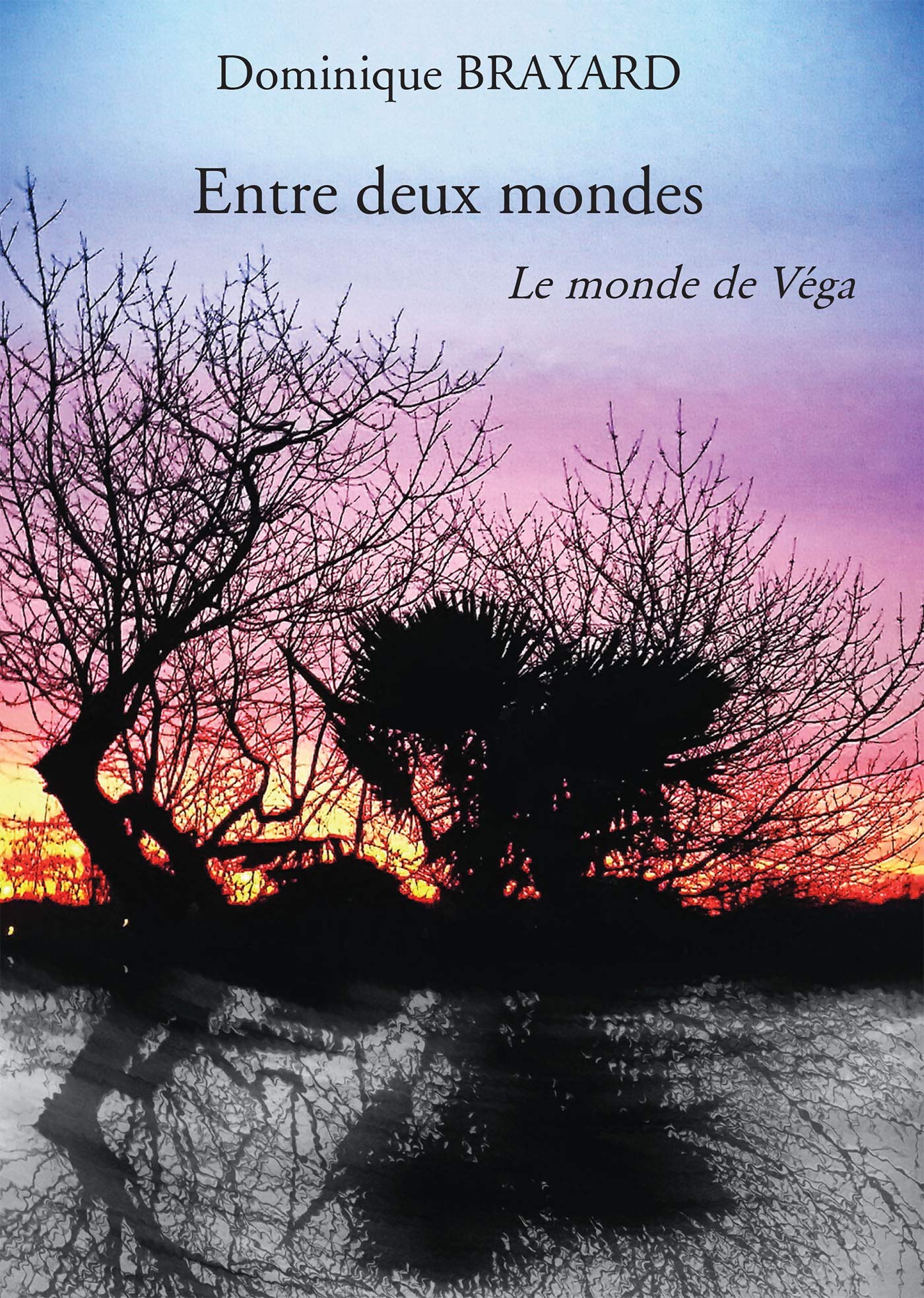 Entre deux mondes book