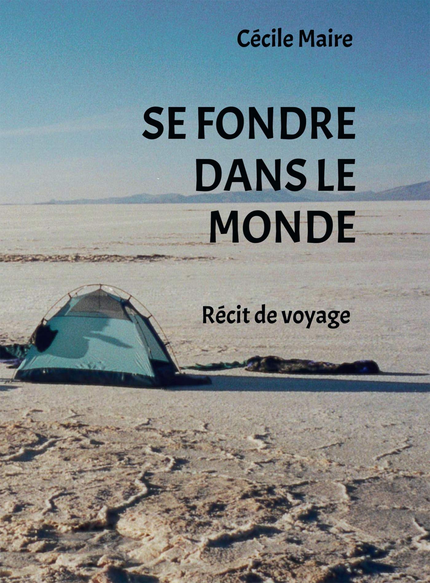 SE FONDRE DANS LE MONDE book