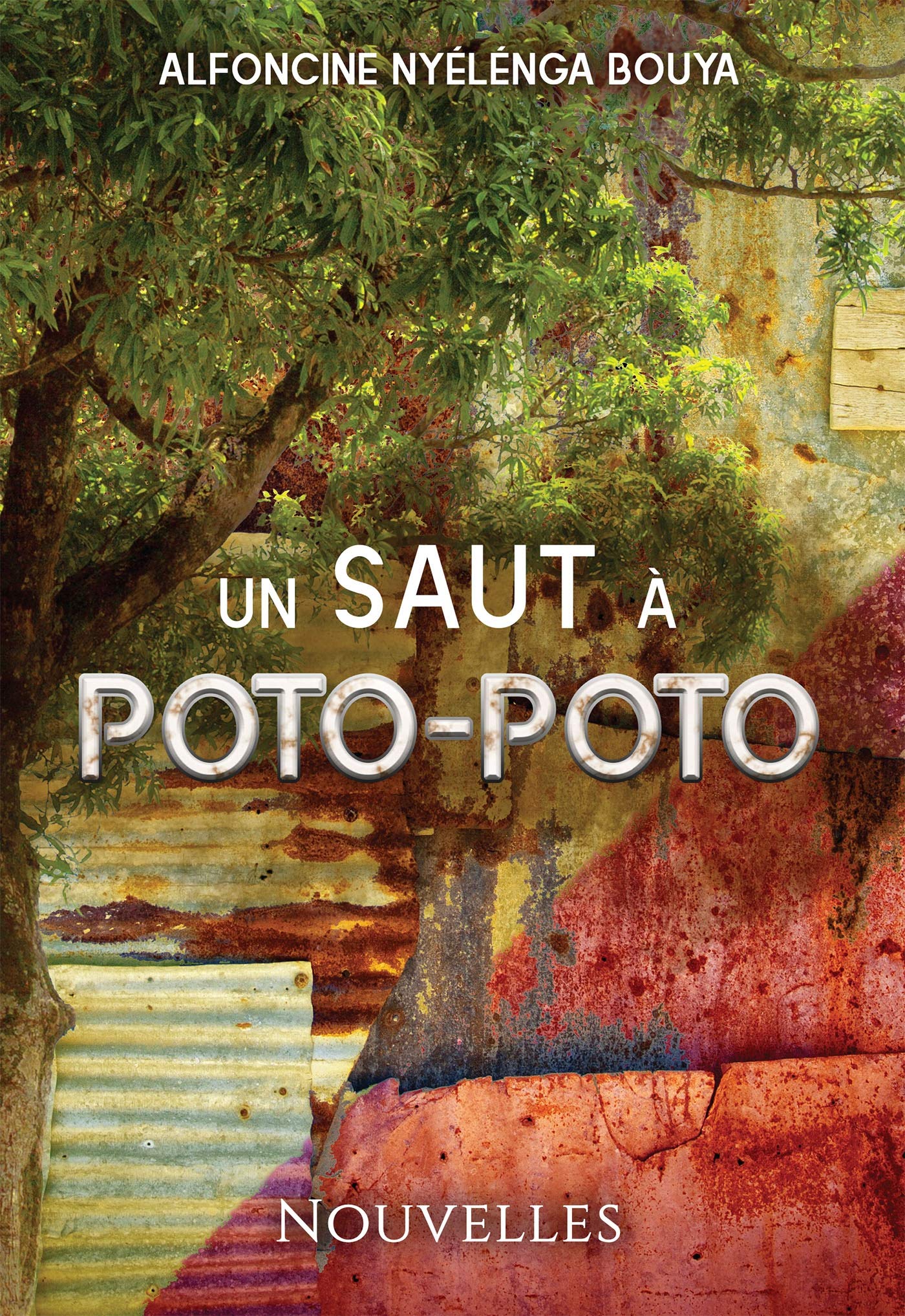 Un Saut à Poto-Poto book