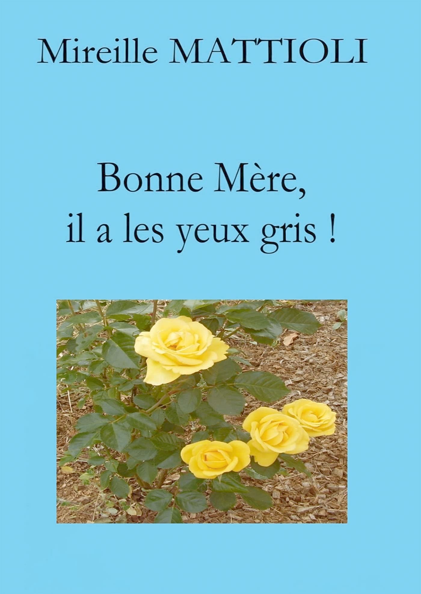 Bonne Mère, il a les yeux gris ! book