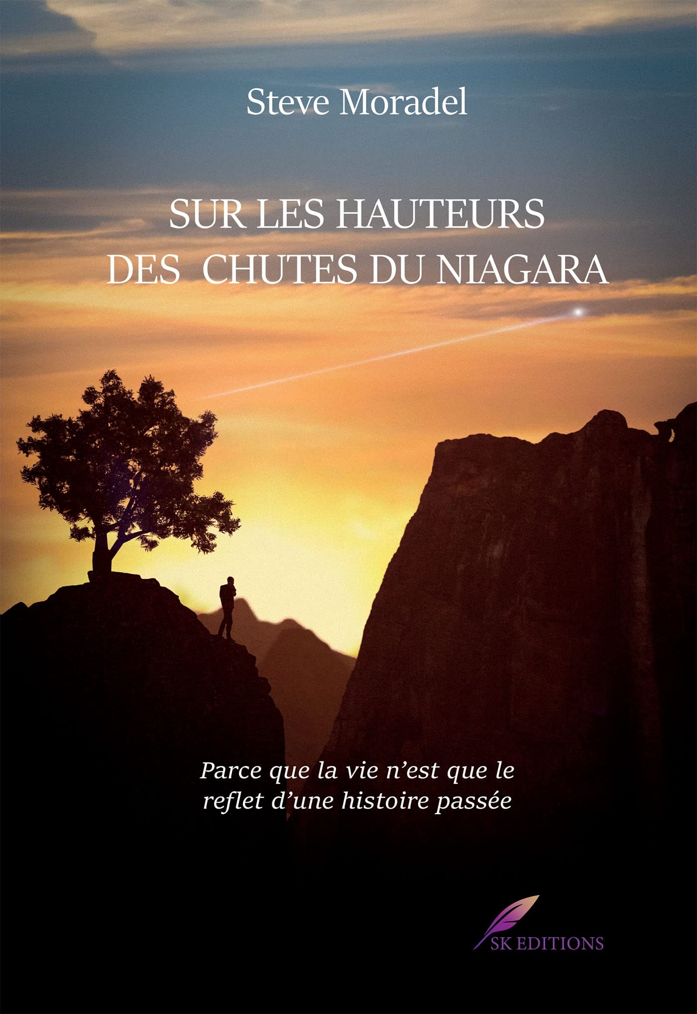 Sur les hauteurs des chutes du Niagara book