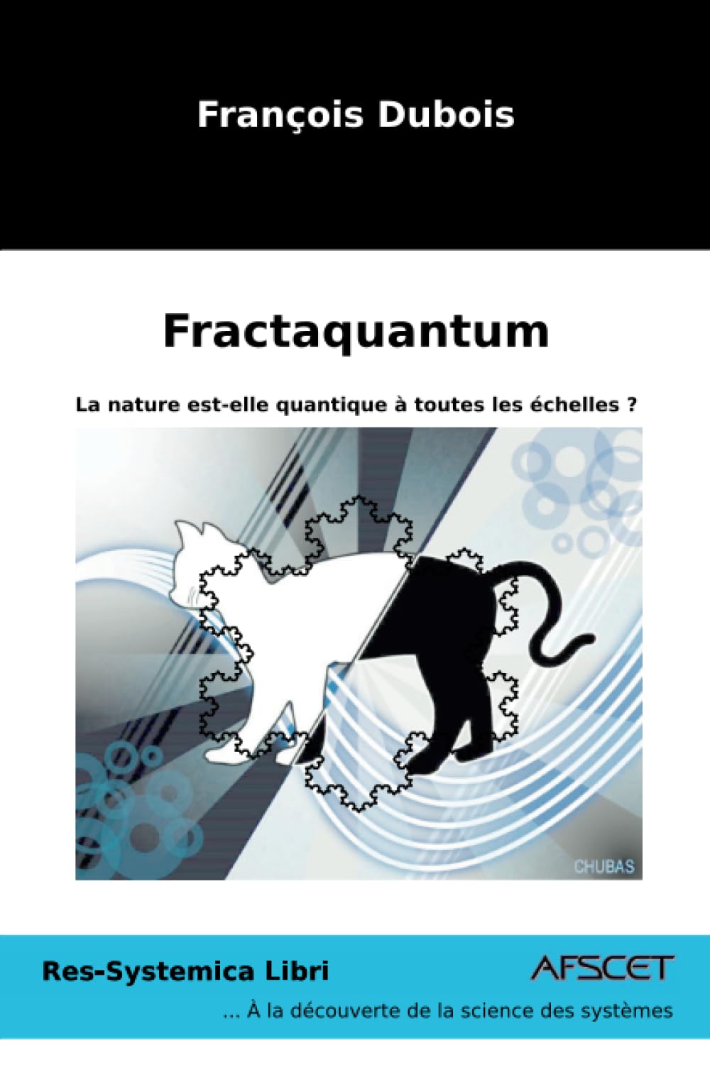 Fractaquantum book
