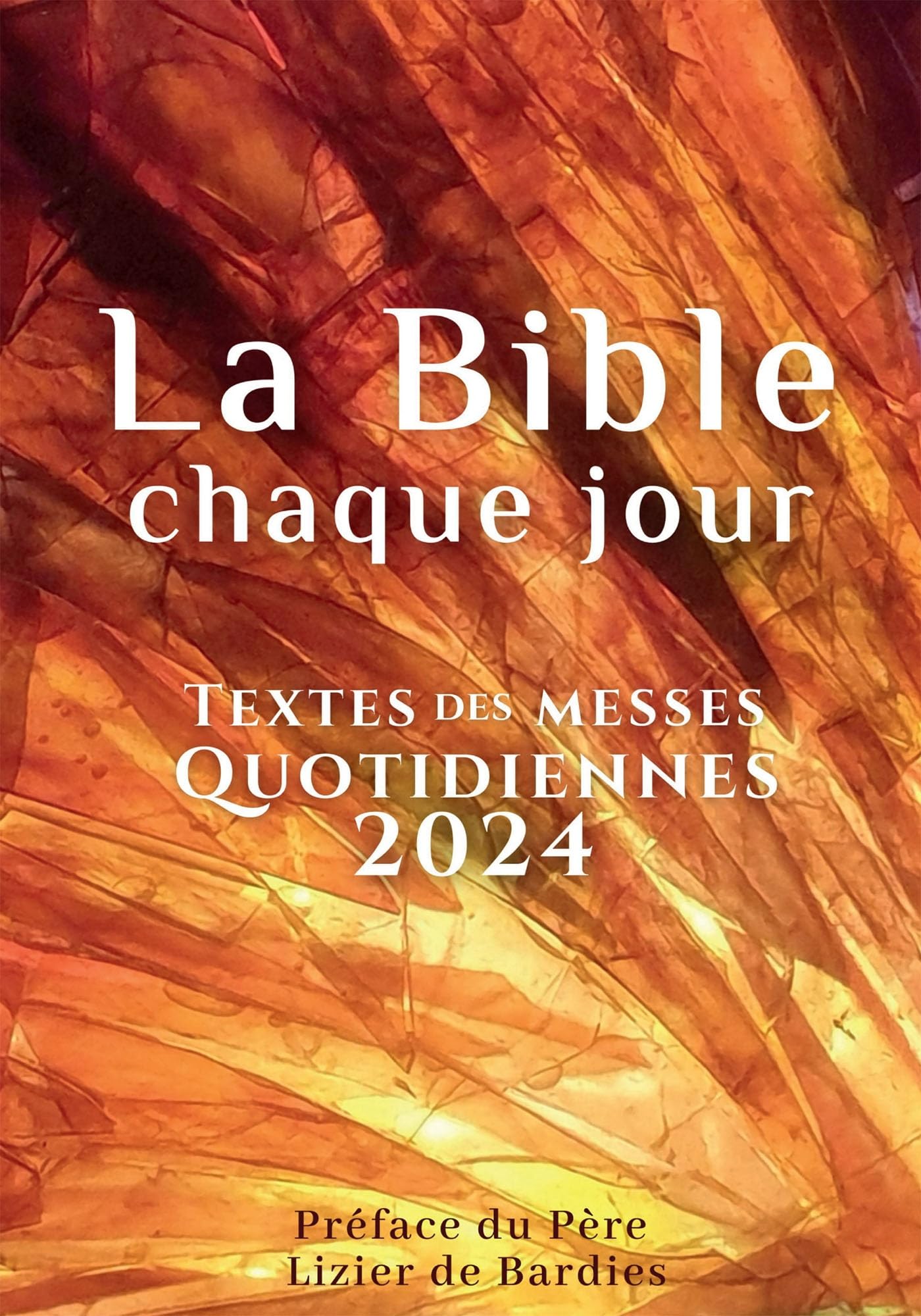 LA BIBLE, CHAQUE JOUR book