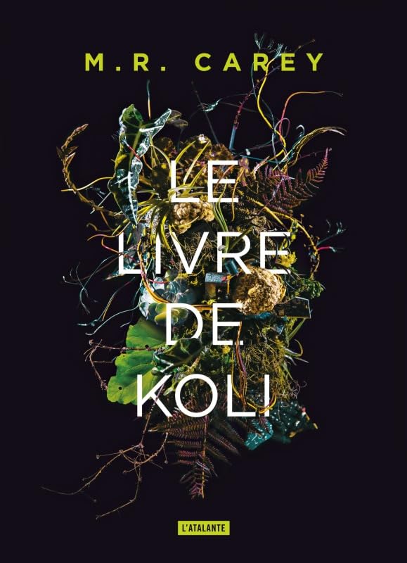 Le livre de Koli: TRILOGIE REMPART 1 Contemporary literature