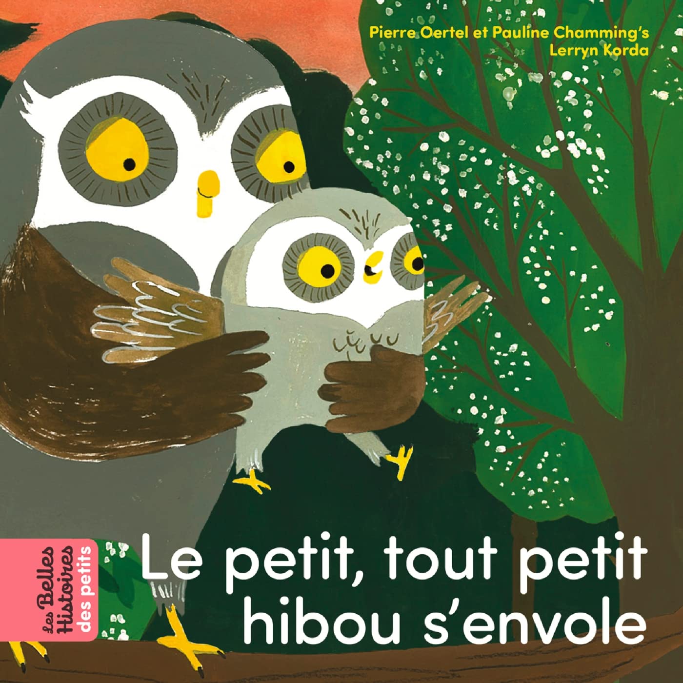 Le petit, tout petit hibou s'envole Non-fiction