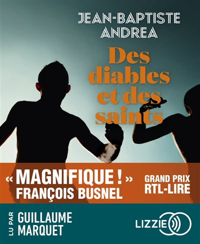 Product Image: Des diables et des saints