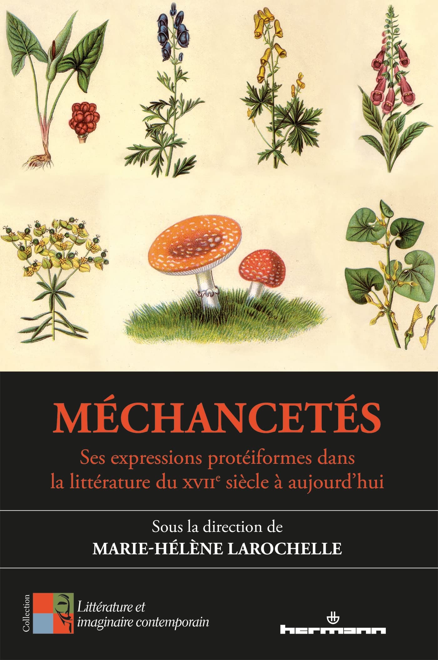 Méchancetés: Ses expressions protéiformes dans la littérature du XVIIe siècle à aujourd hui book