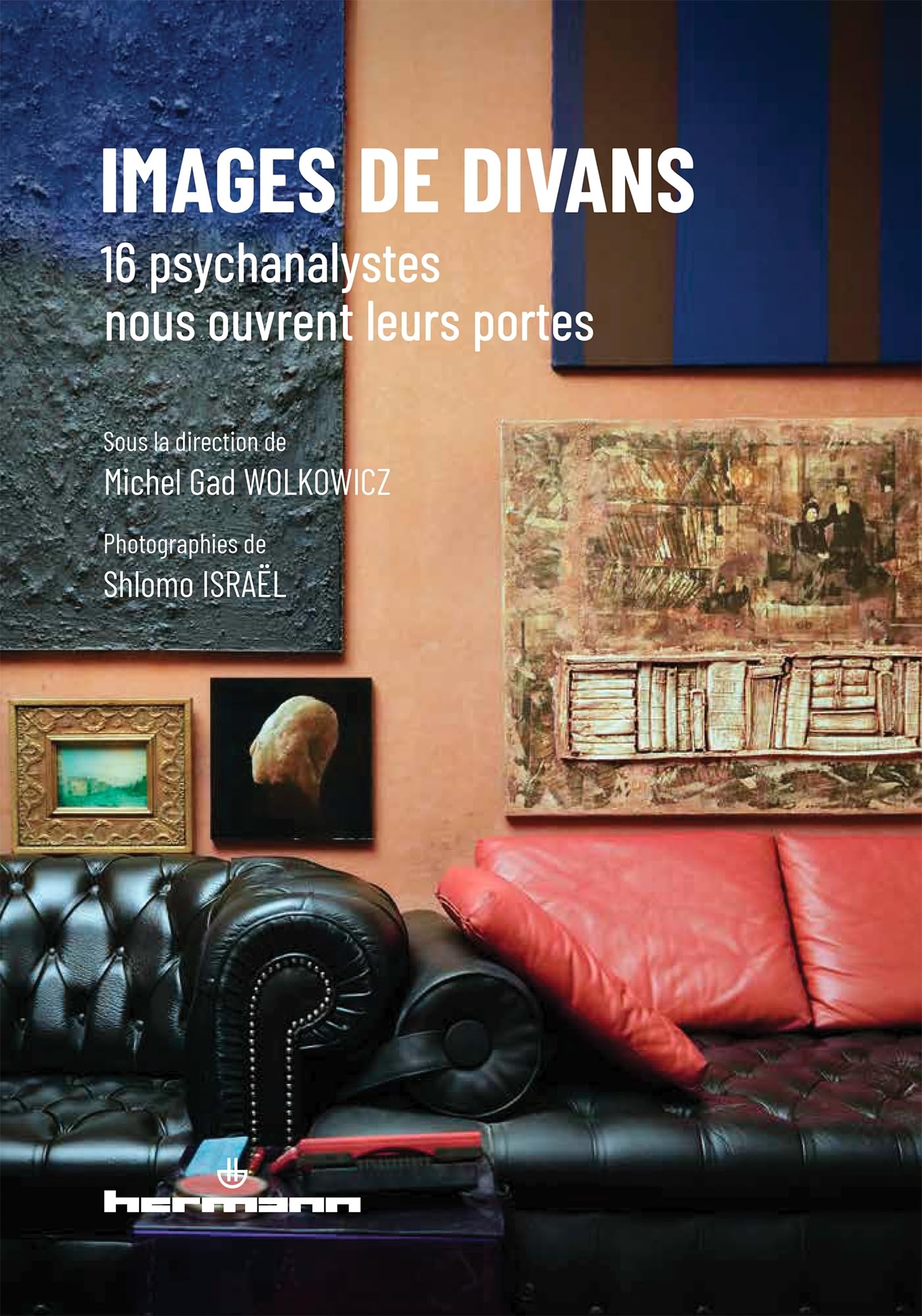 Images de divans: 16 psychanalystes nous ouvrent leurs portes book