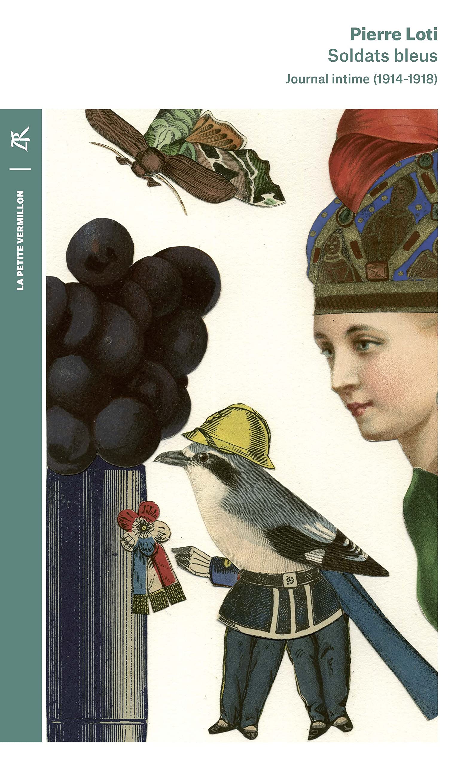 Soldats bleus: Journal intime (1914-1918) book