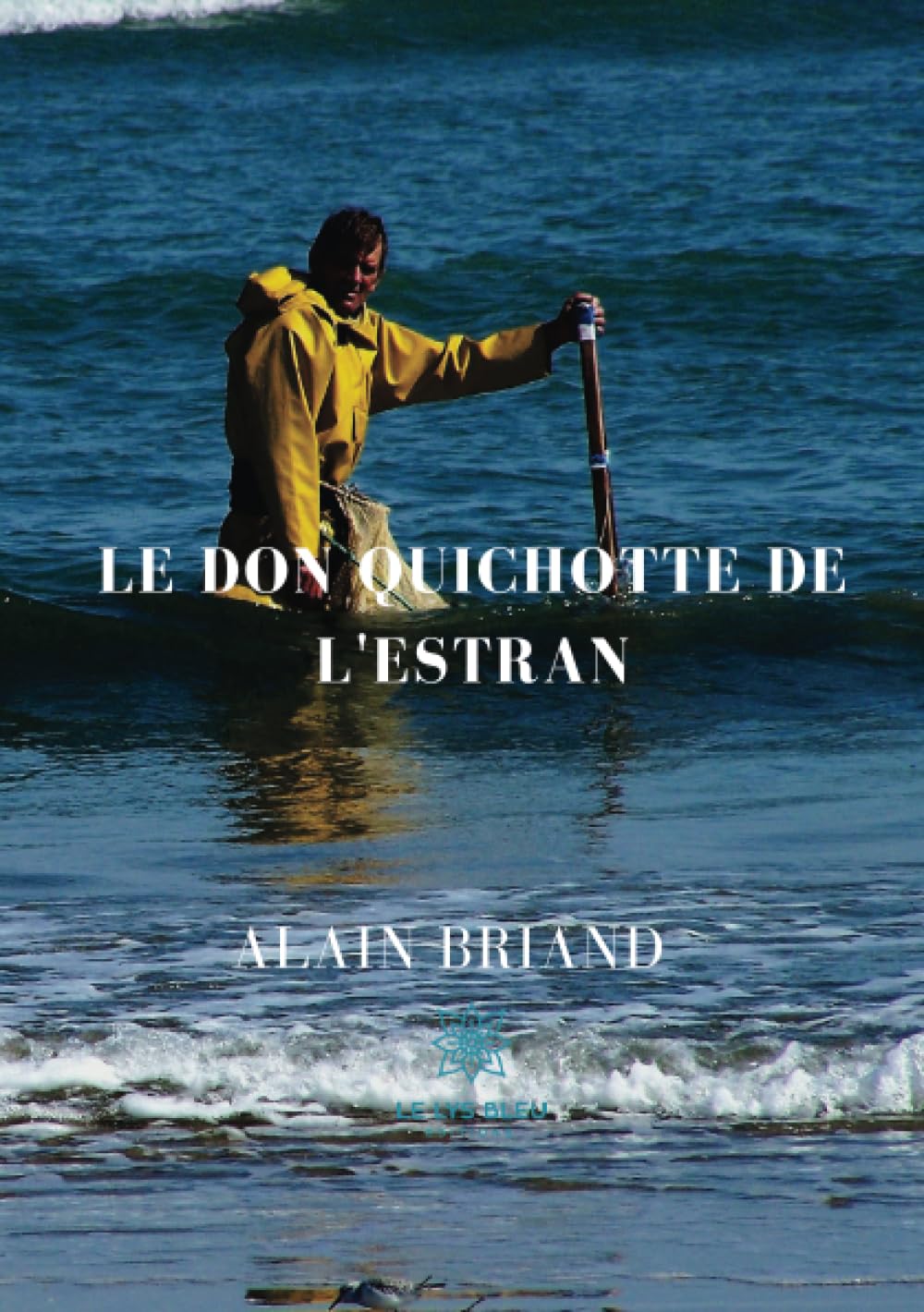 Le don quichotte de l'estran Books