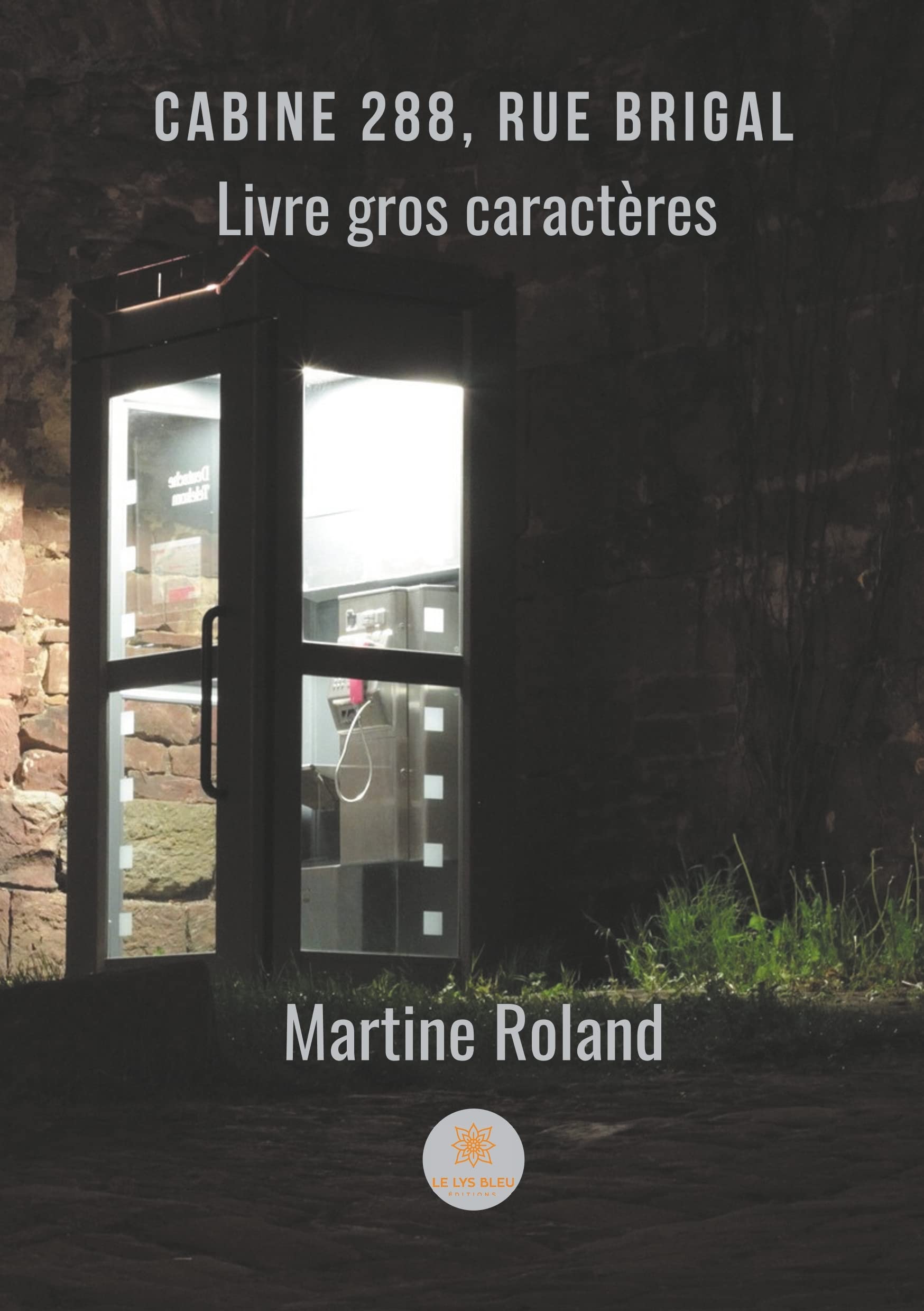 Cabine 288, rue Brigal Books