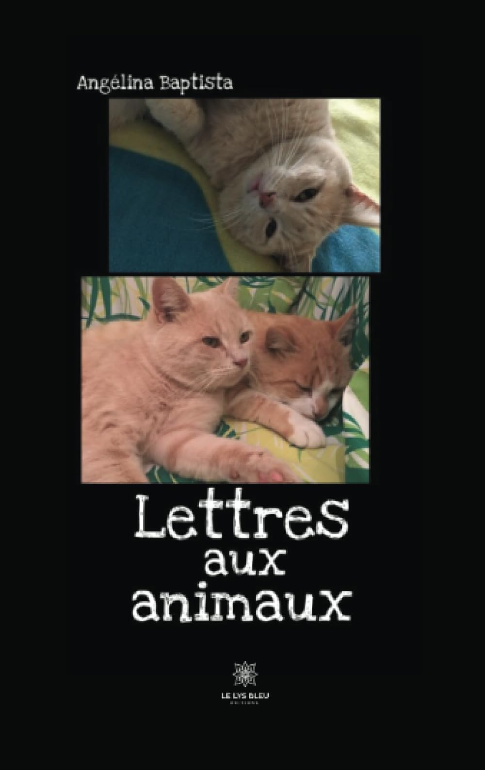 Lettres aux animaux Poetry