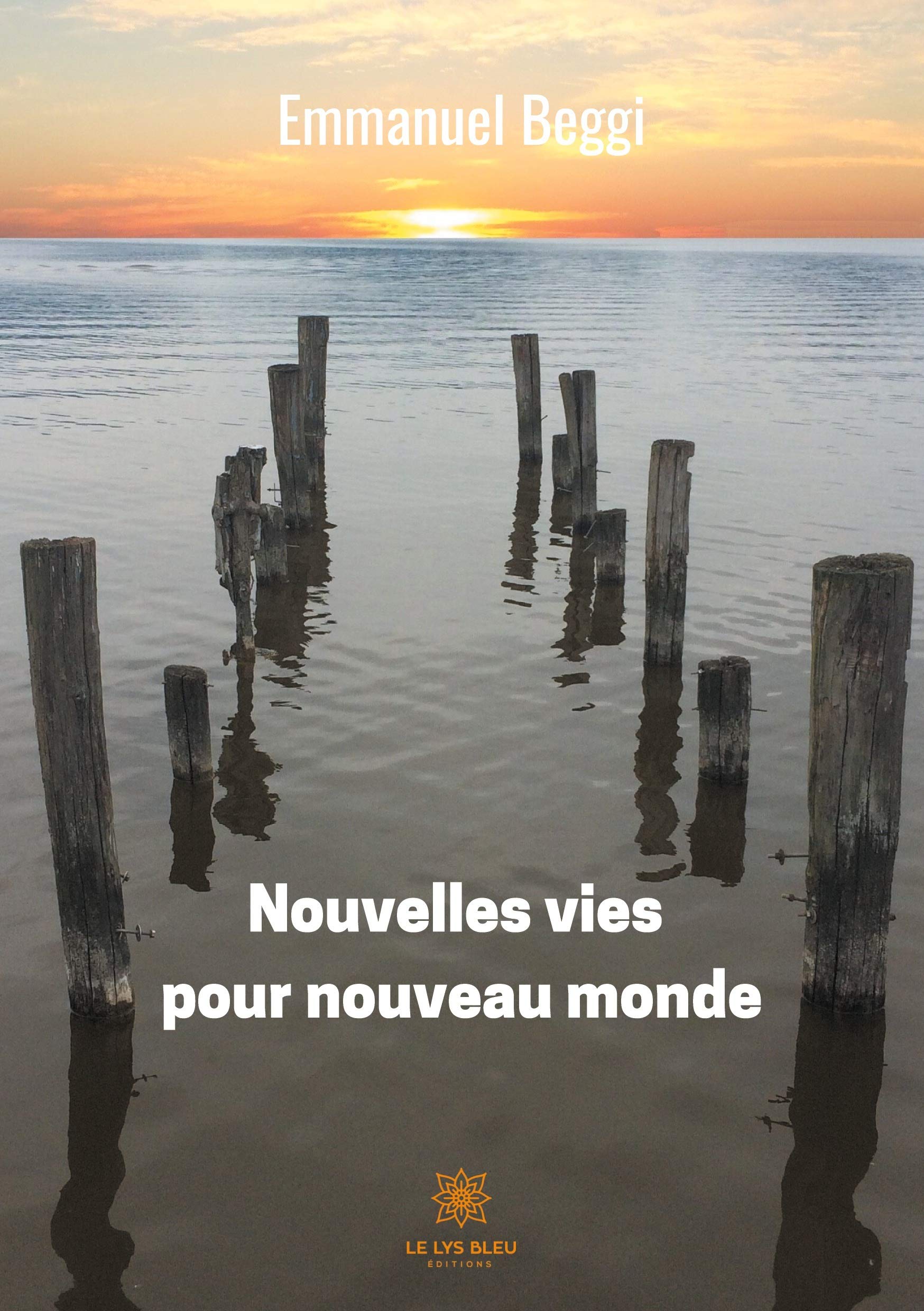 Nouvelles vies pour nouveau monde book