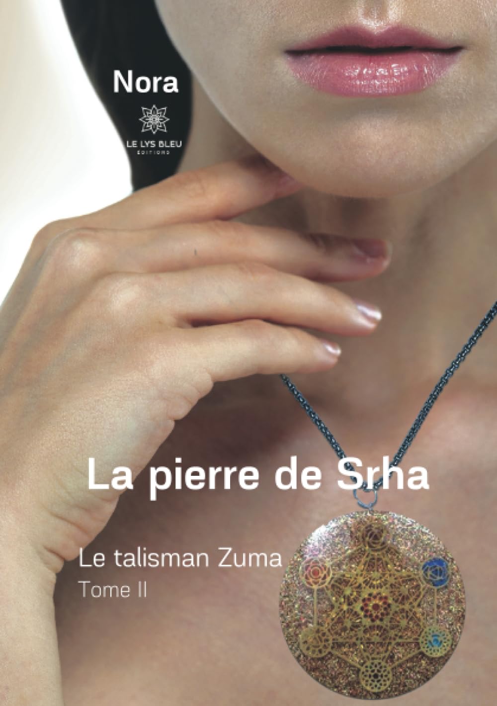 La pierre de Srha: Tome II : Le talisman Zuma book