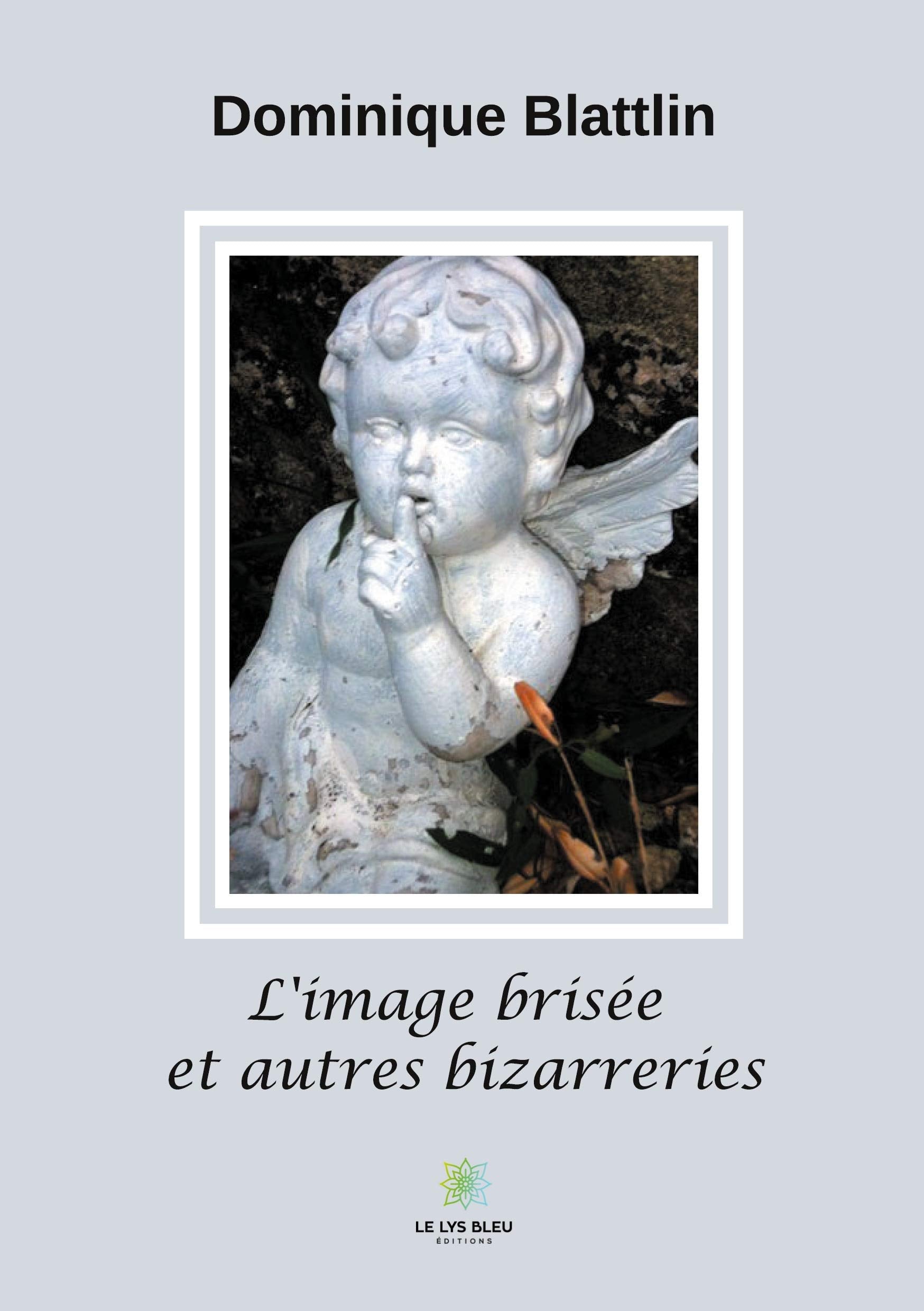 L'image brisée et autres bizarreries Essays & Short Stories