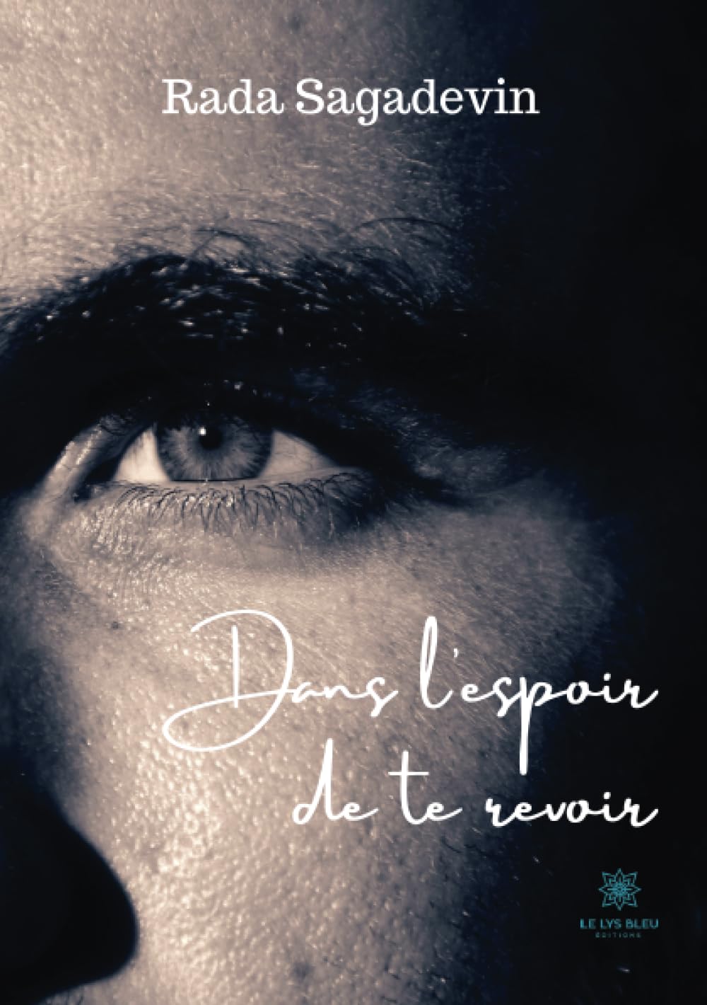 Dans l'espoir de te revoir Contemporary literature