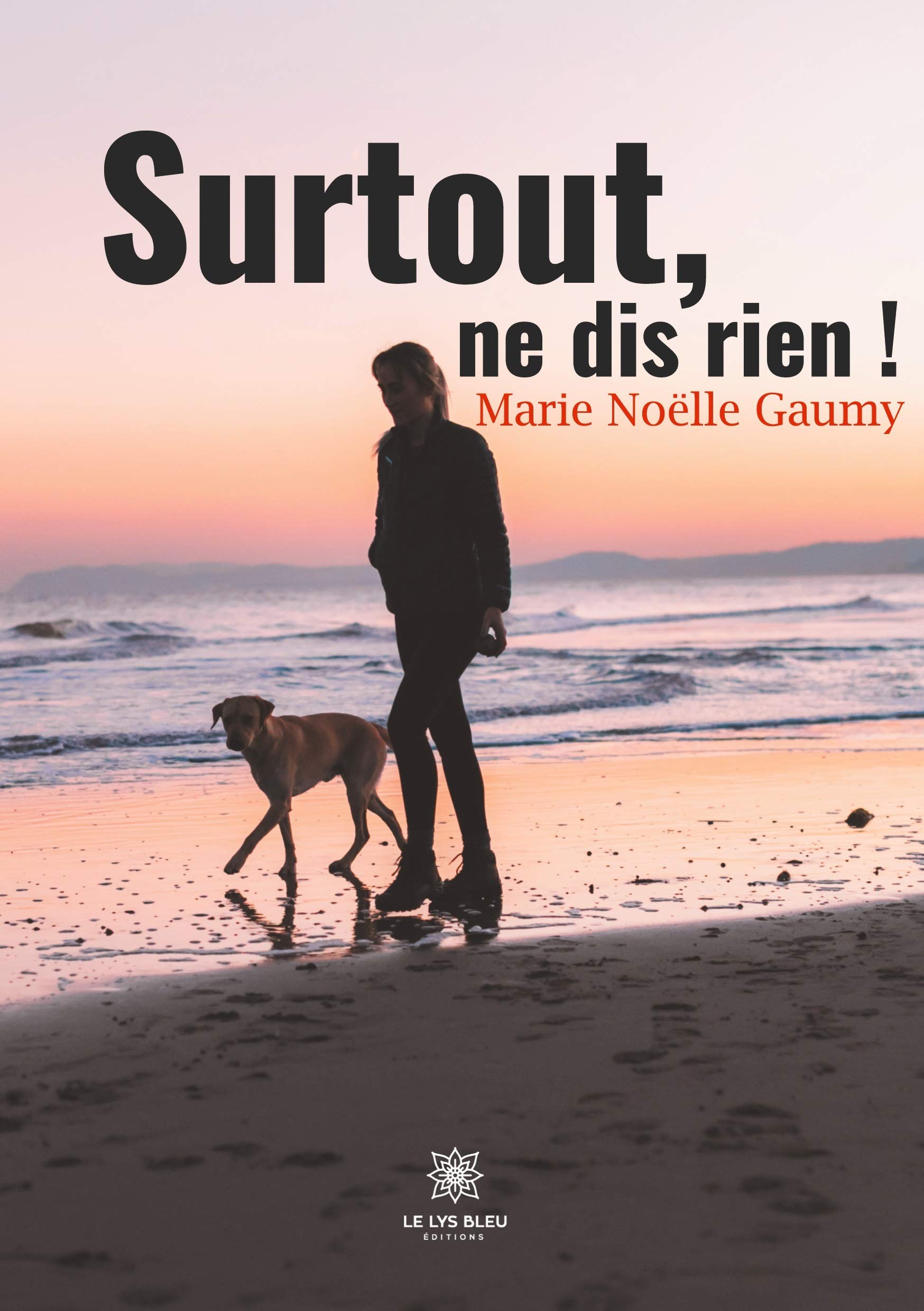 Surtout, ne dis rien ! book