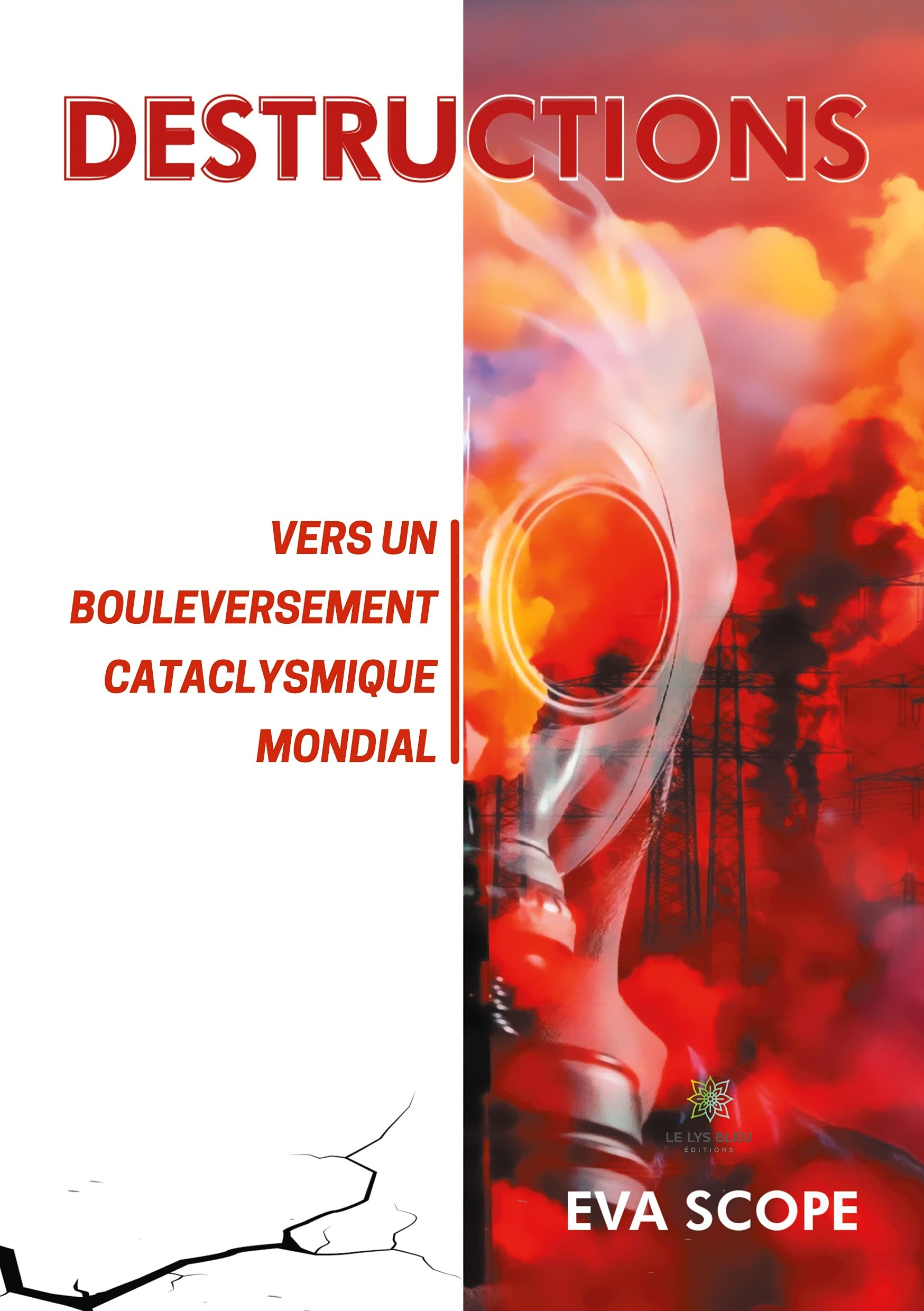 Destructions: Vers un bouleversement cataclysmique mondial book