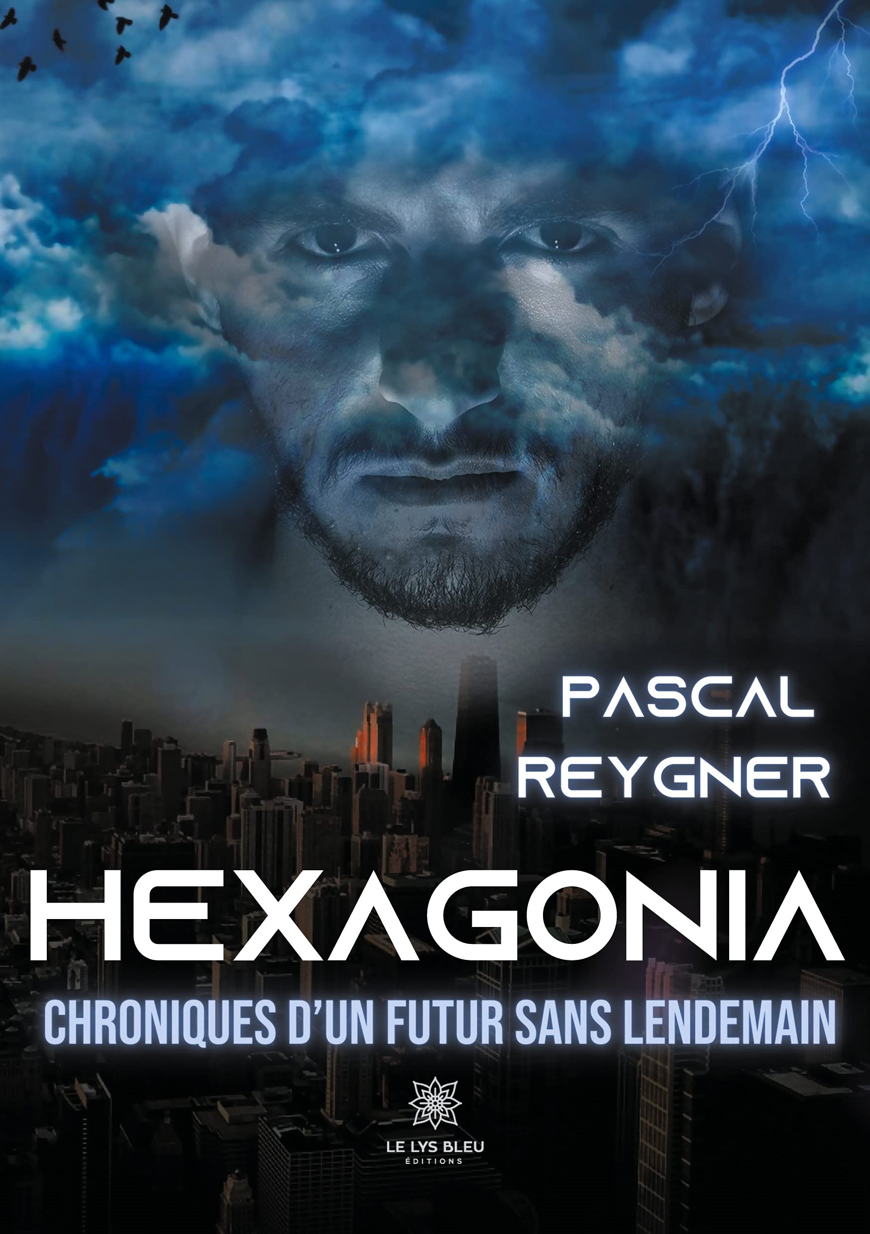 Hexagonia: Chroniques d'un futur sans lendemain book