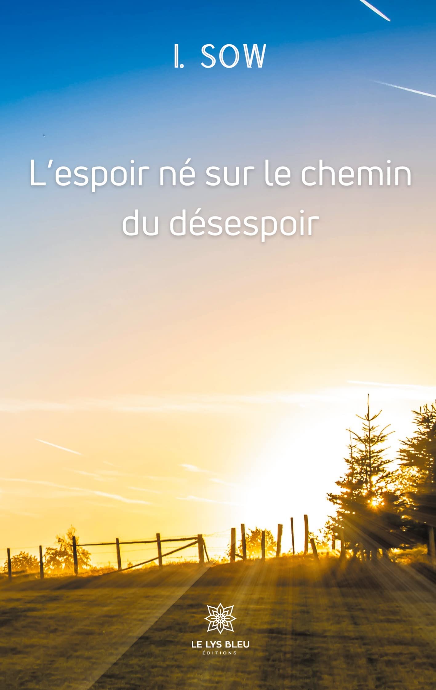 L'espoir né sur le chemin du désespoir Poetry