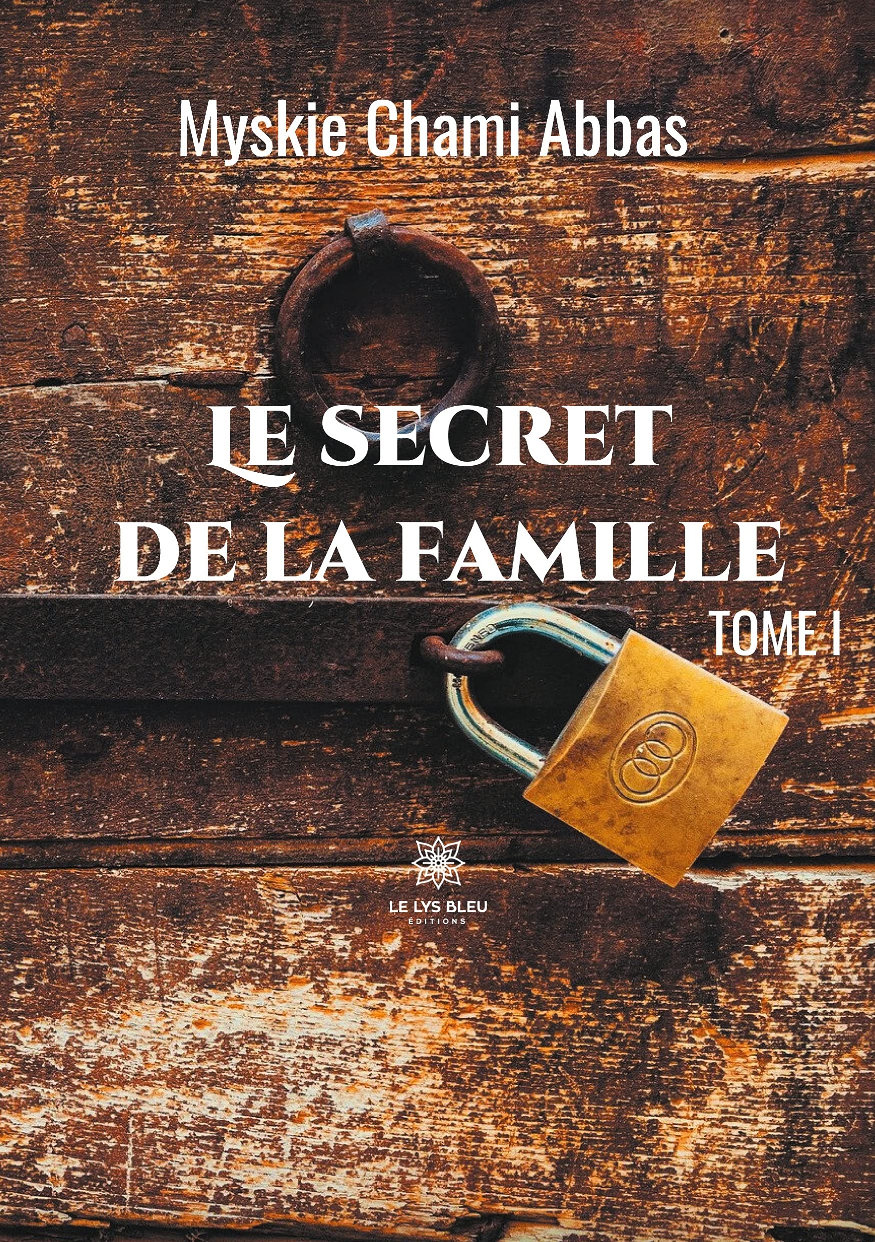 Le secret de la famille - Tome I Contemporary literature
