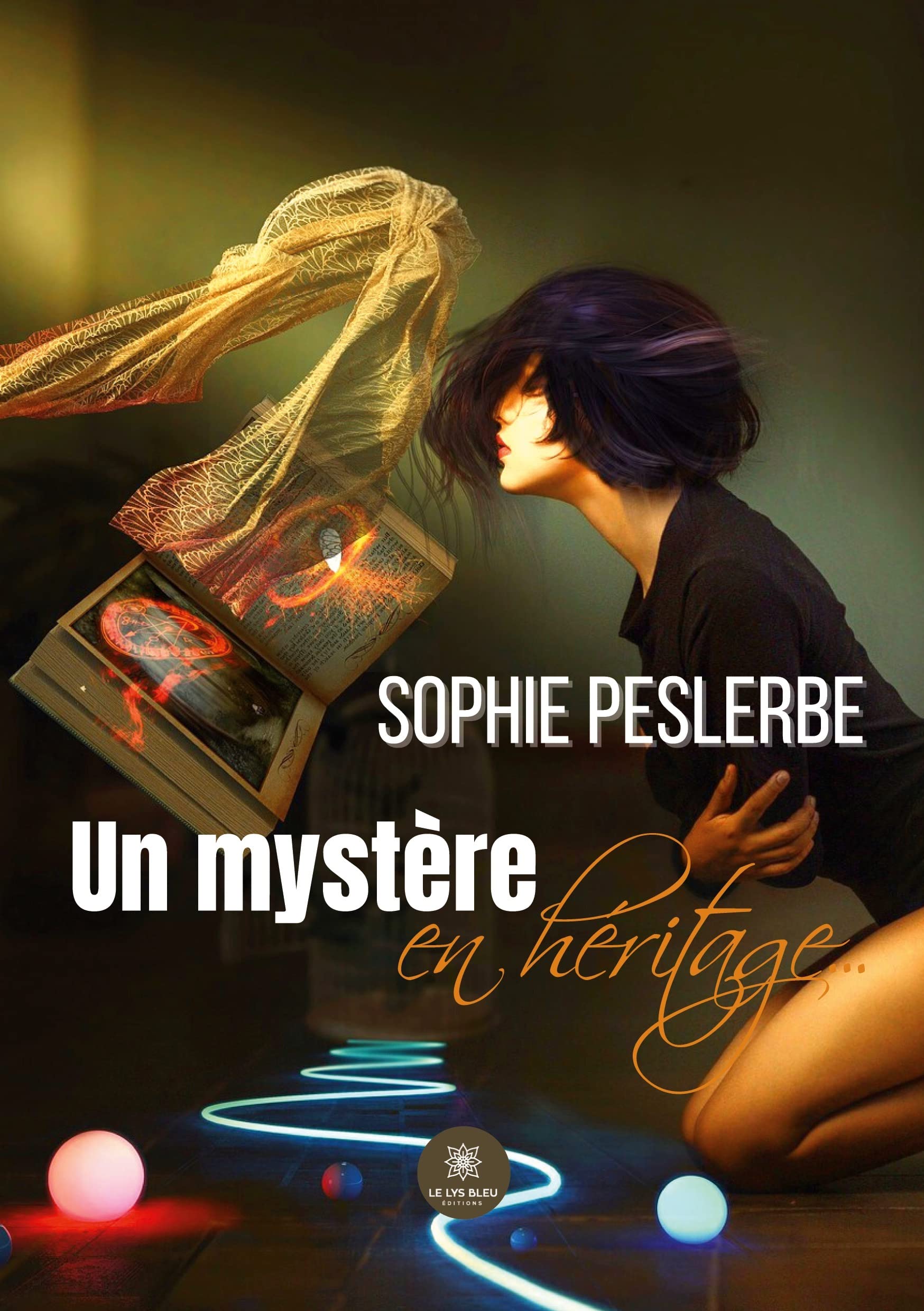 Un mystère en héritage... book