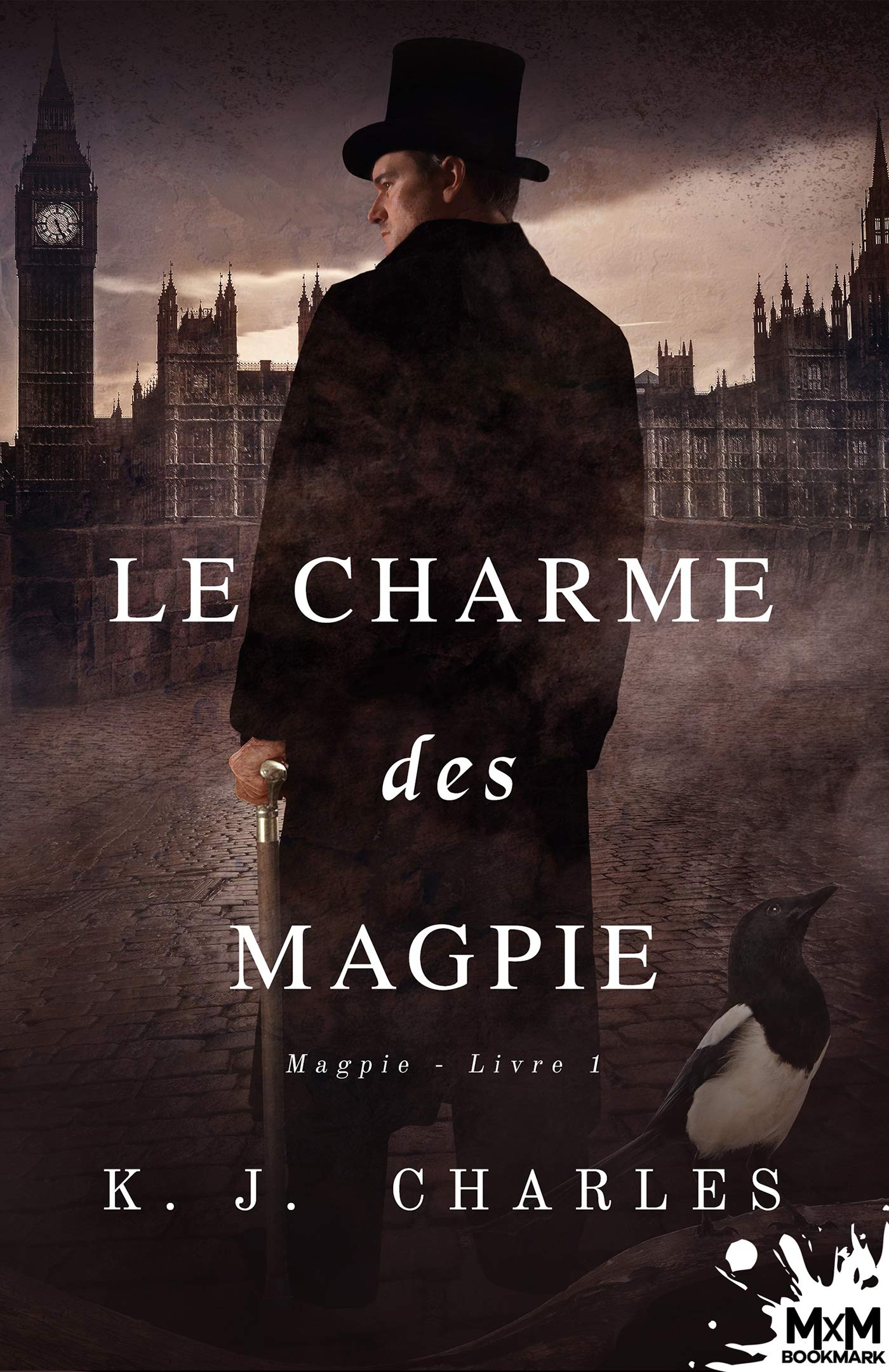 Le charme des Magpie: Magpie, T1 Contemporary literature