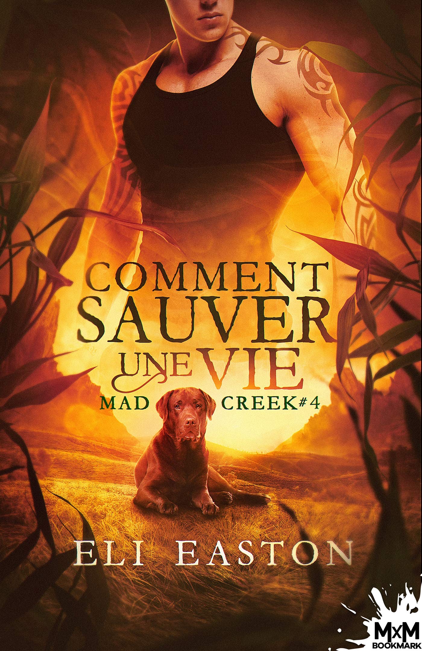 Comment sauver une vie: Mad Creek, T4 Contemporary literature