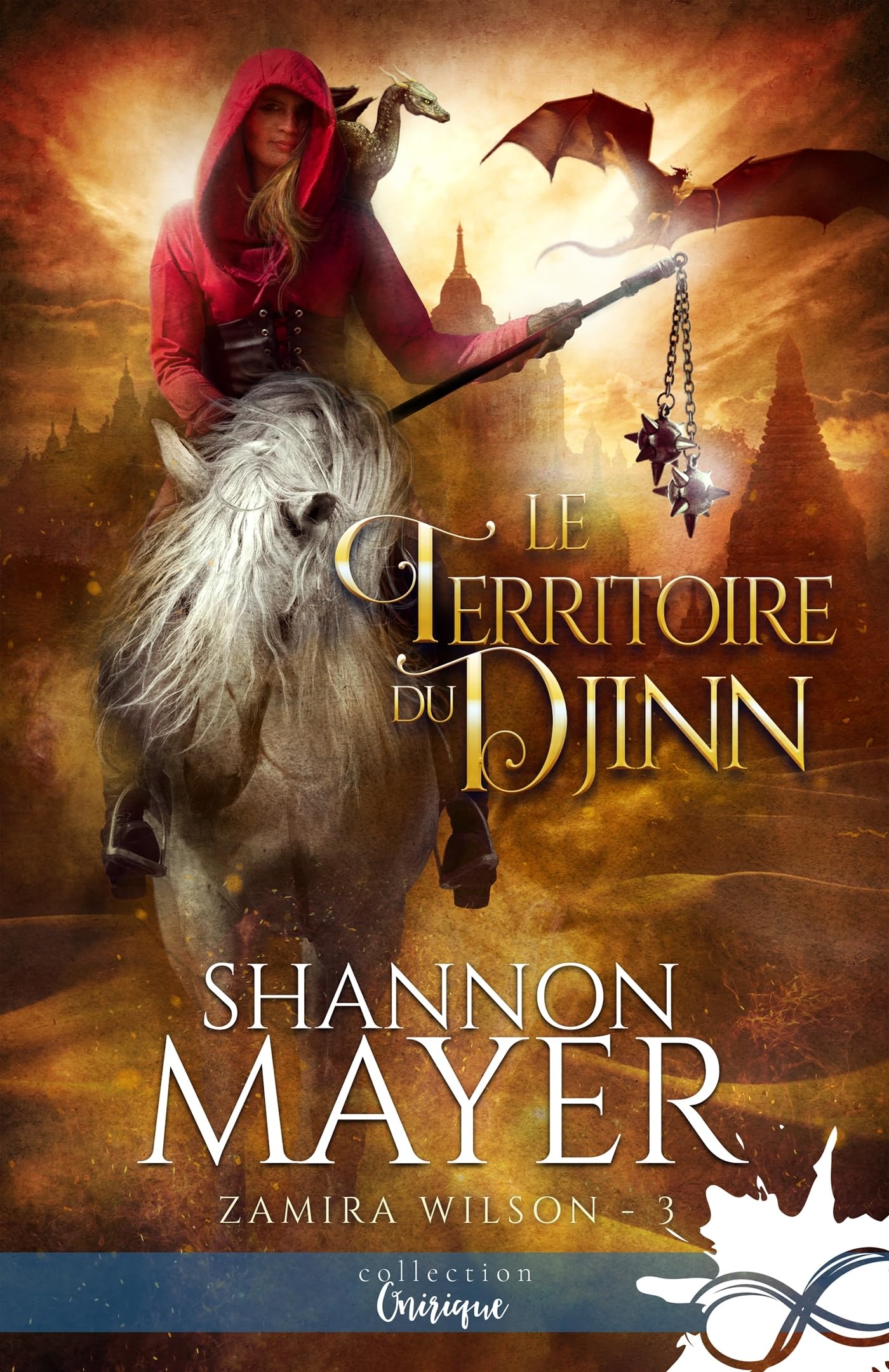 Le territoire du djinn: Zamira Wilson, T3 book