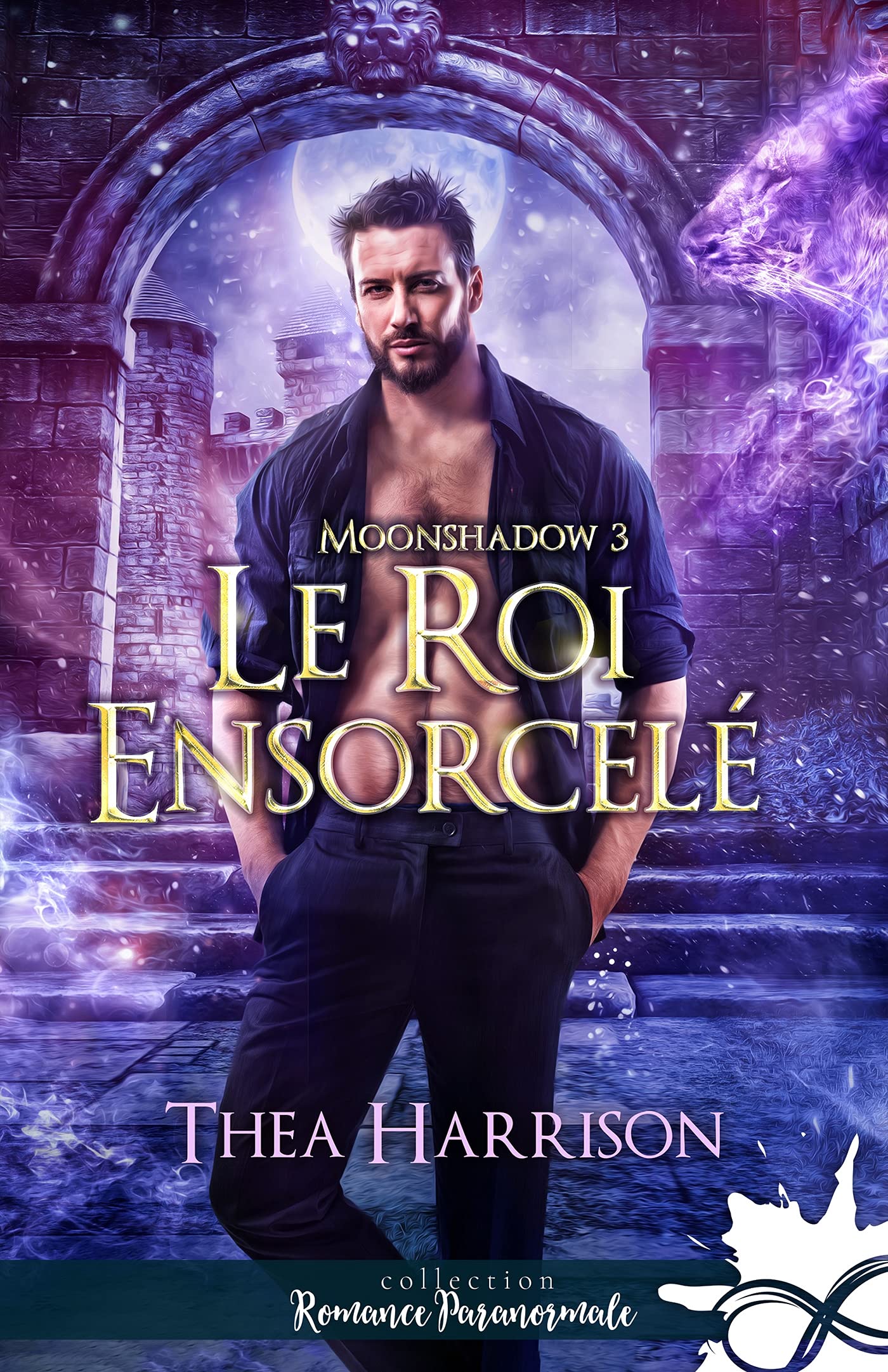 Le roi ensorcelé: Moonshadow, T3 Contemporary literature