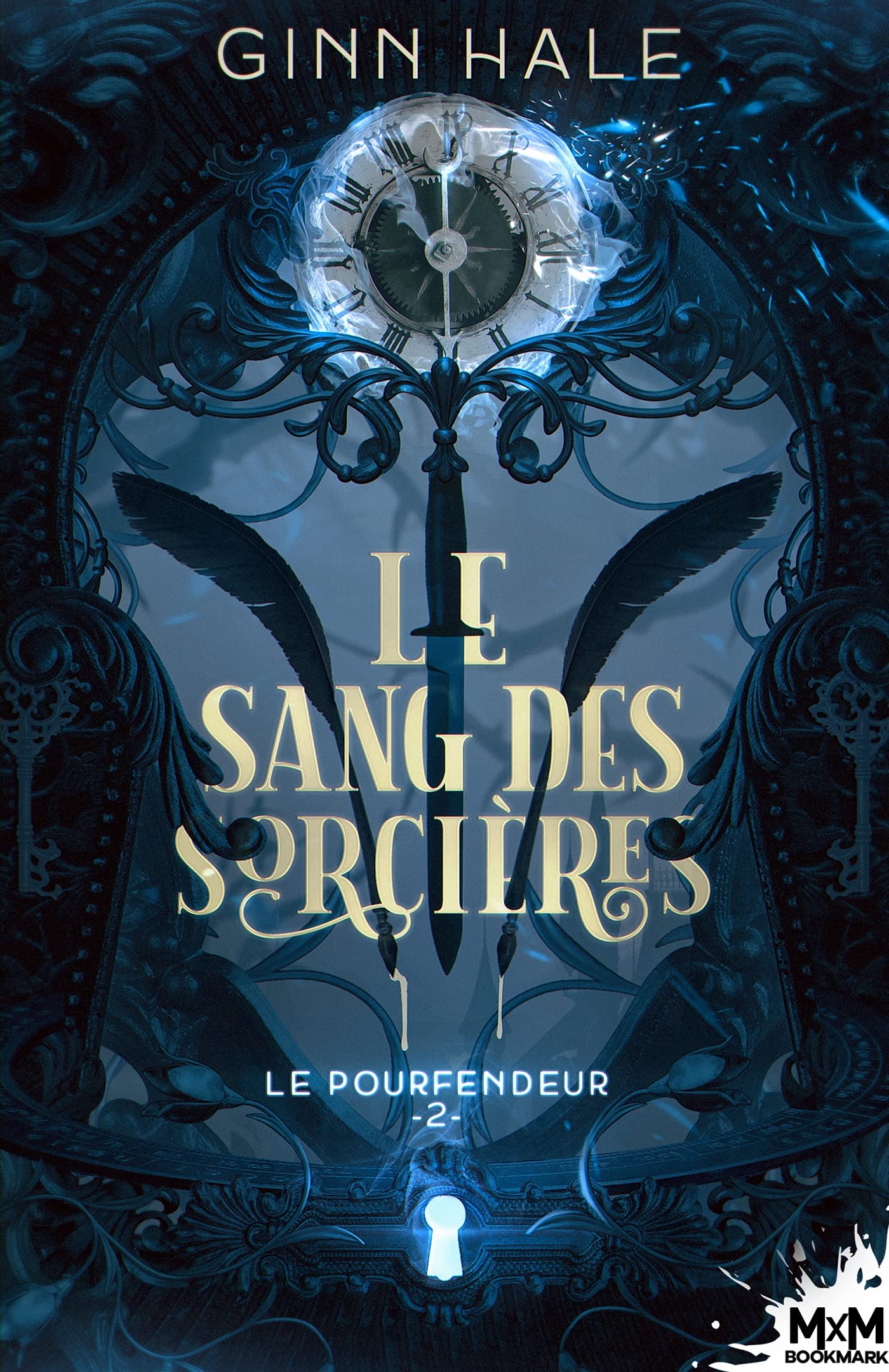 Le Sang des sorcières: Le Pourfendeur, T2 book