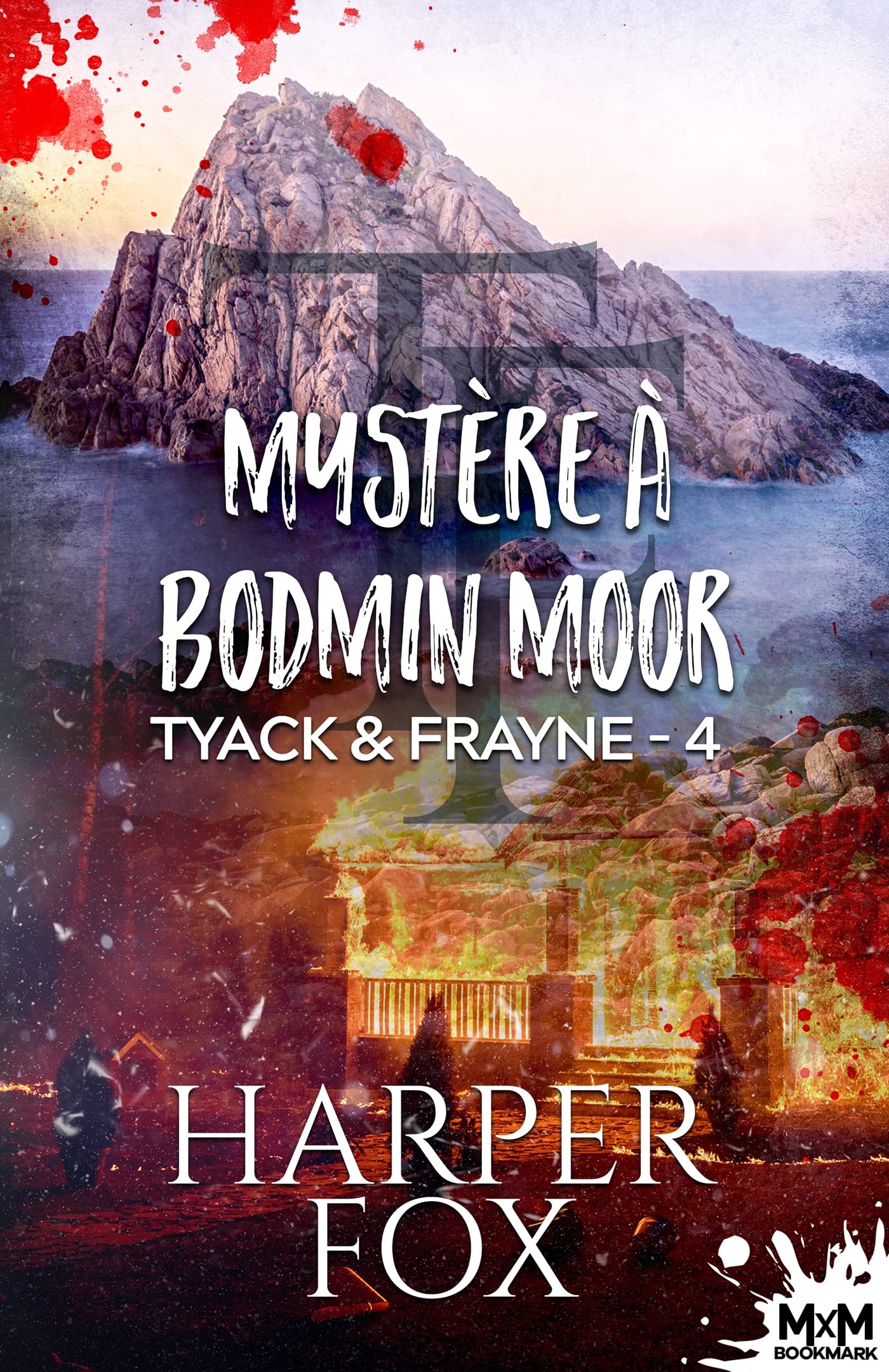 Mystère à Bodmin Moor: Tyack & Frayne, T4 book