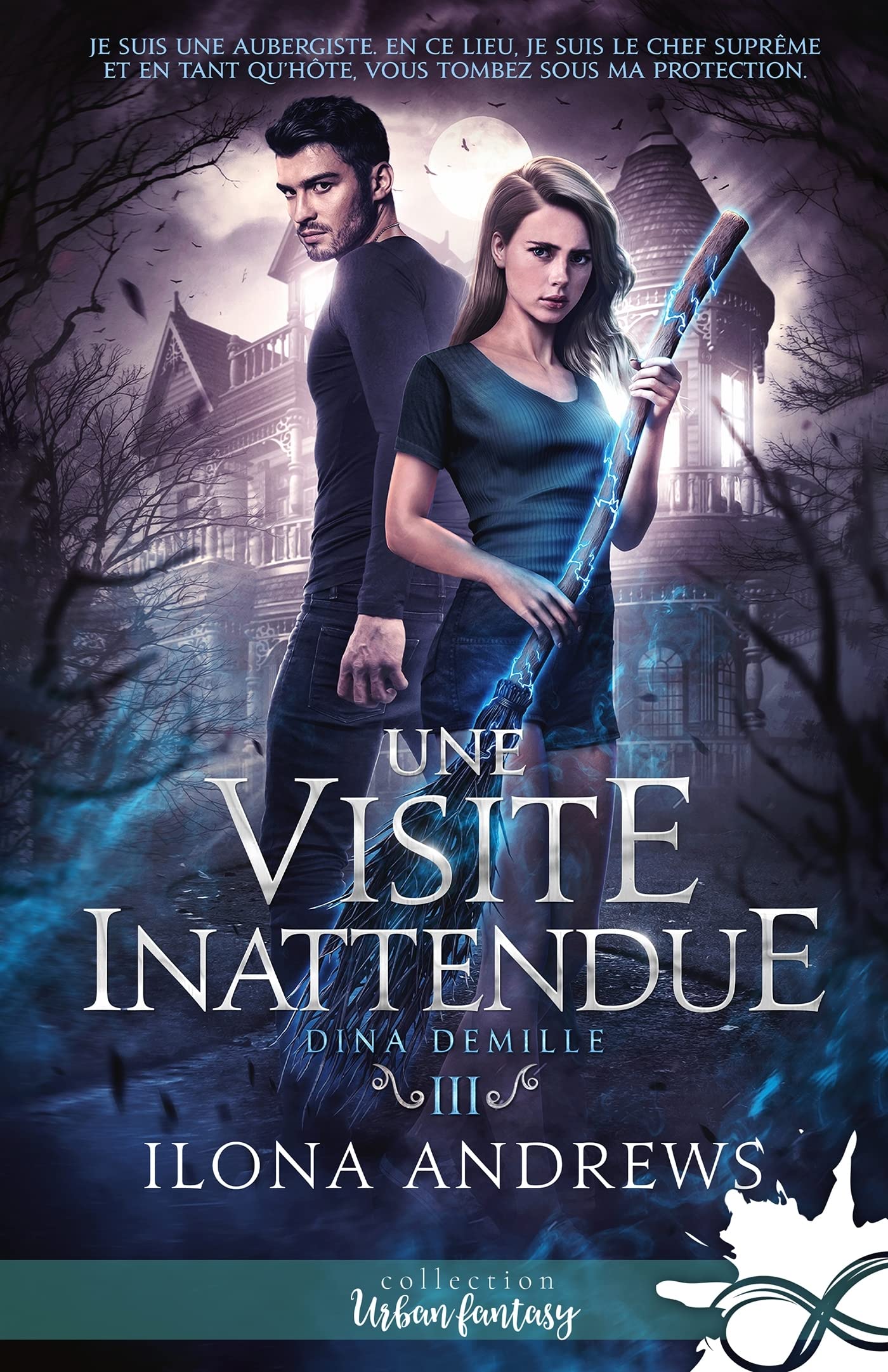 Une visite inattendue: Dina Demille, T3 book
