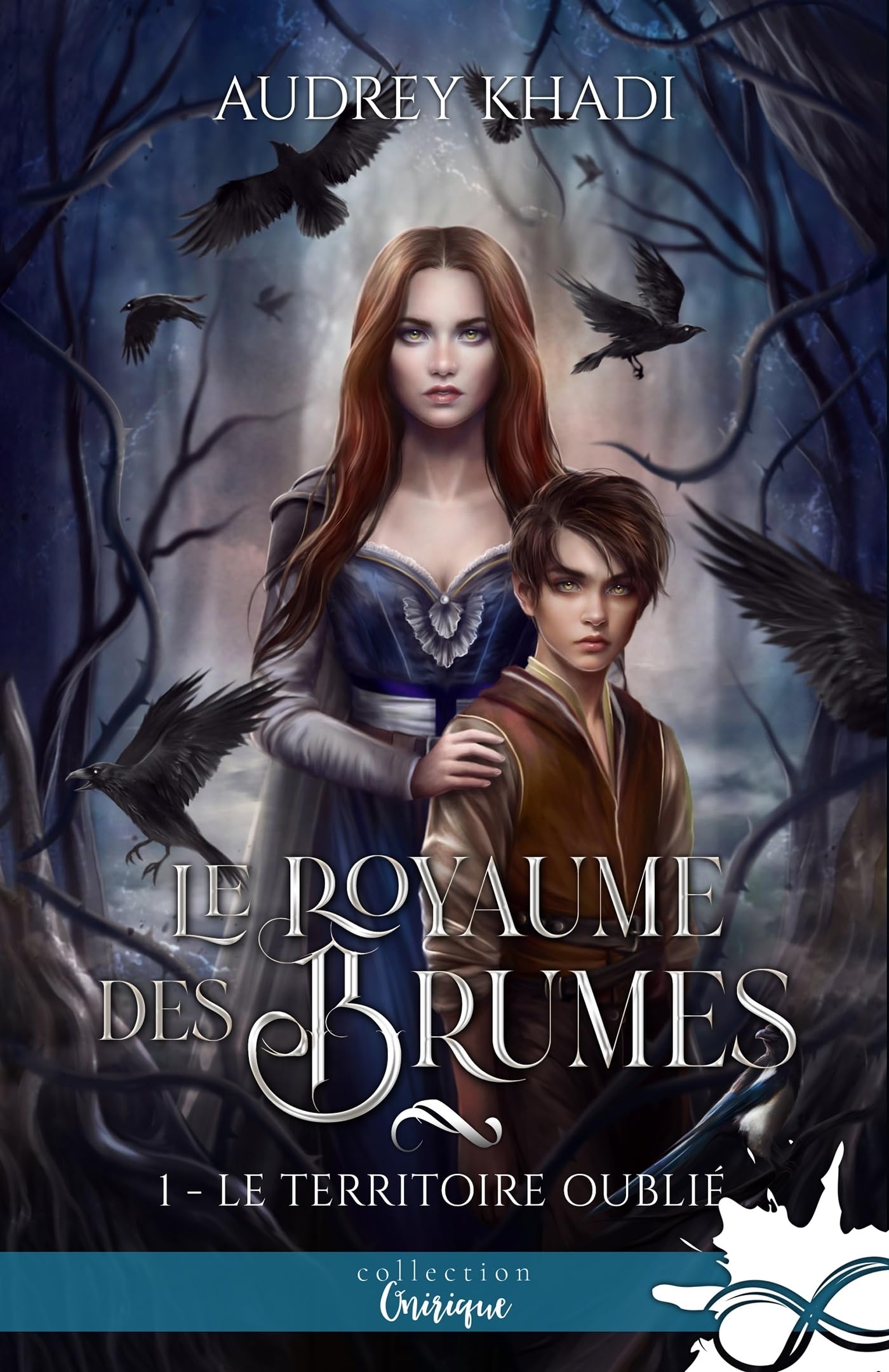 Le territoire oublié: Le royaume des Brumes, T1 book