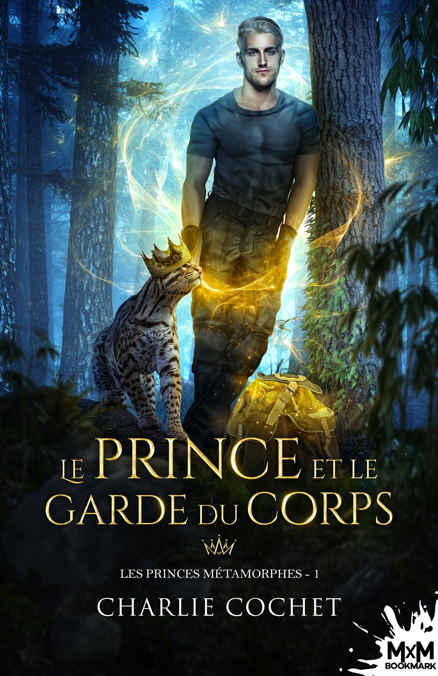 Le prince et le garde du corps: Les princes métamorphes, T1 book