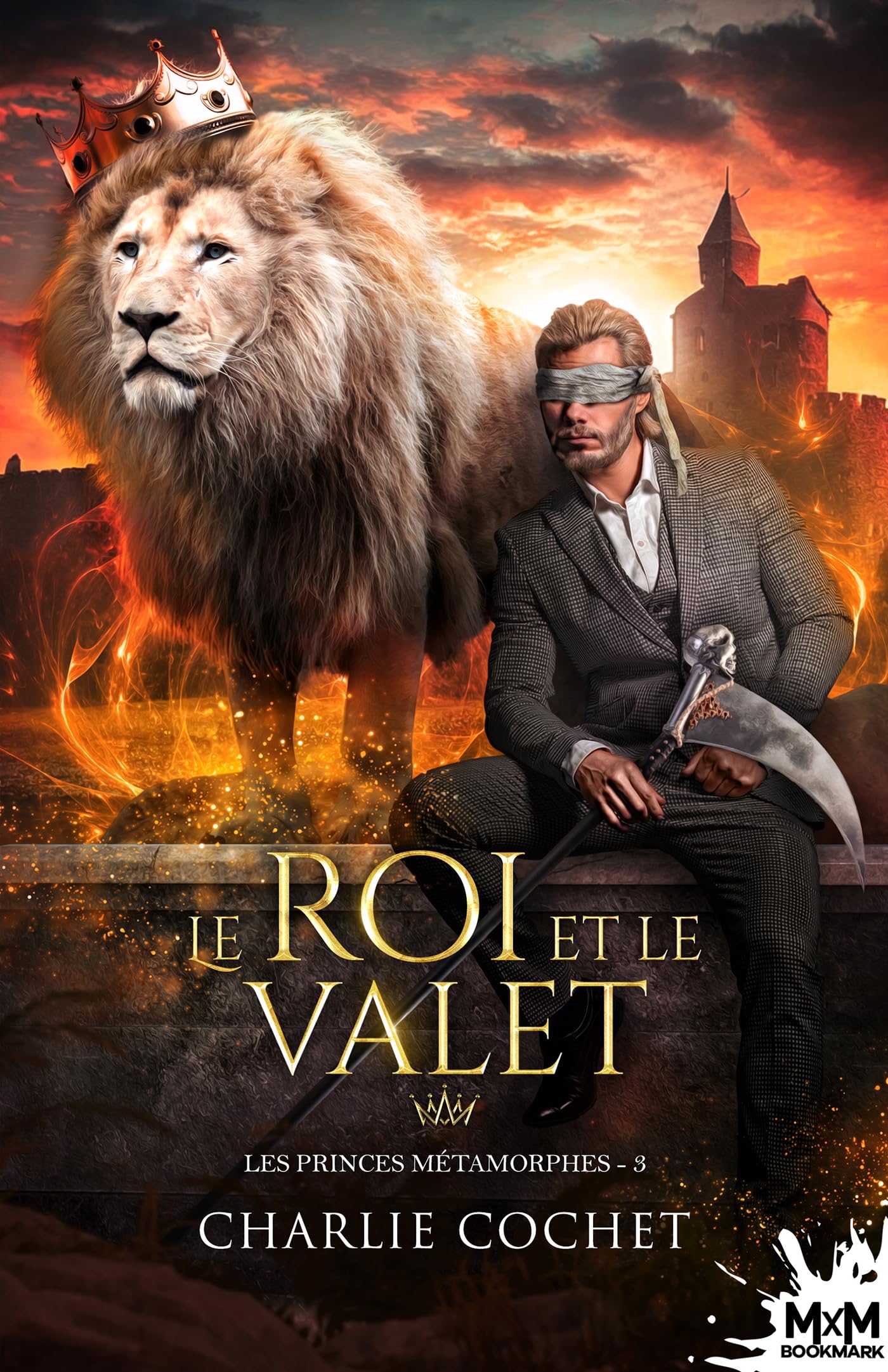 Le roi et le valet: Les princes métamorphes, T3 book