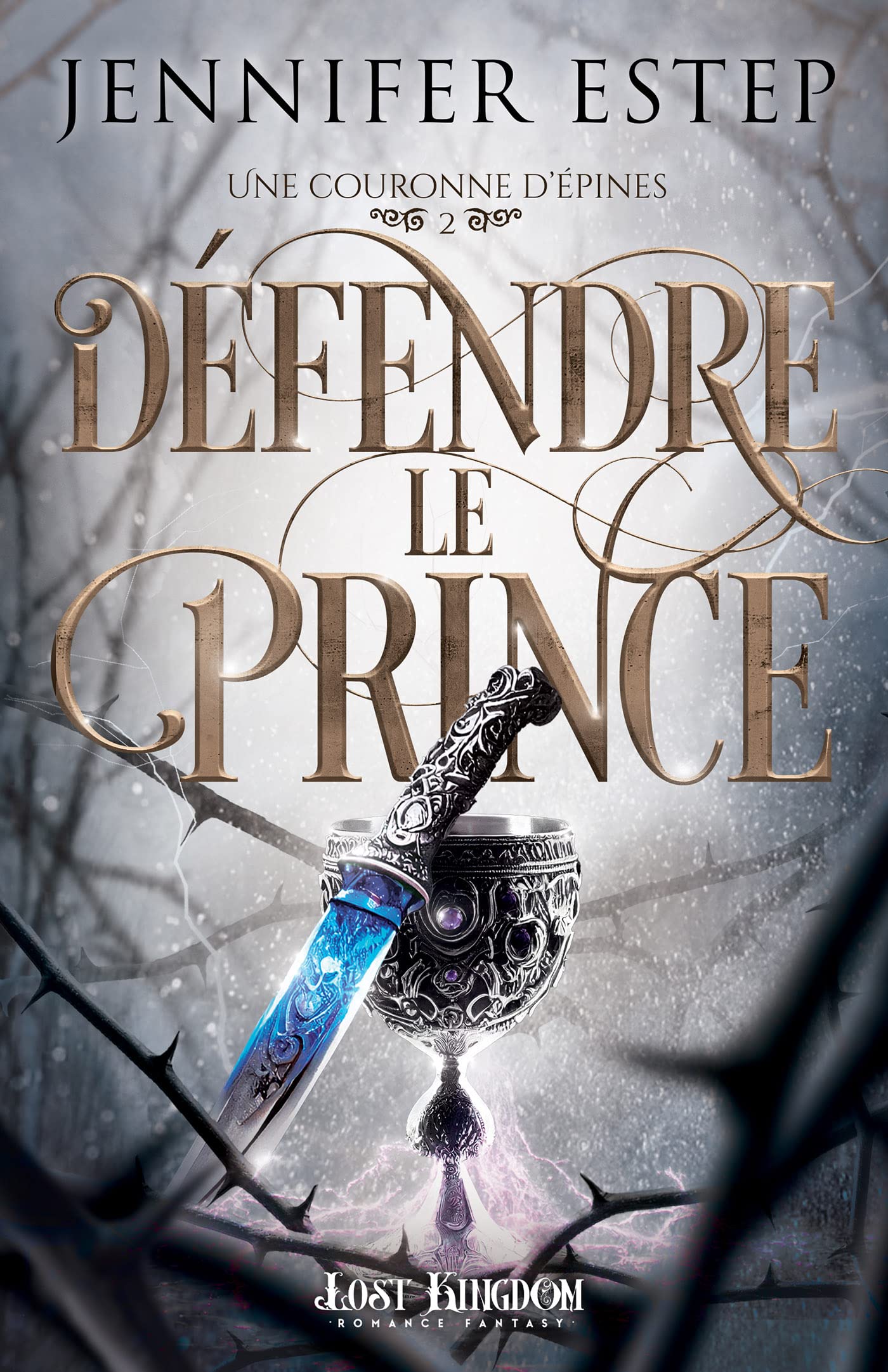 Défendre le prince: Une couronne d'épines 2 book