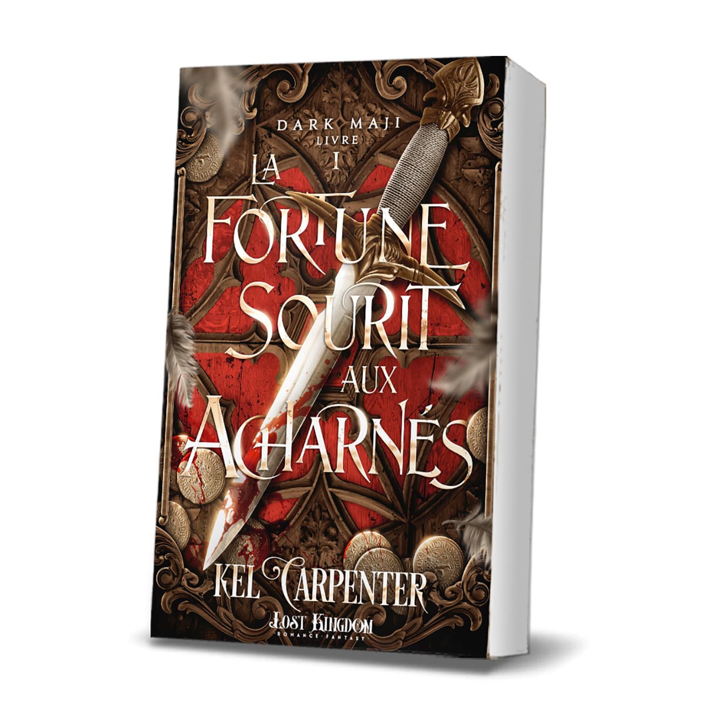 La fortune sourit aux Acharnés: Dark Maji 1 book