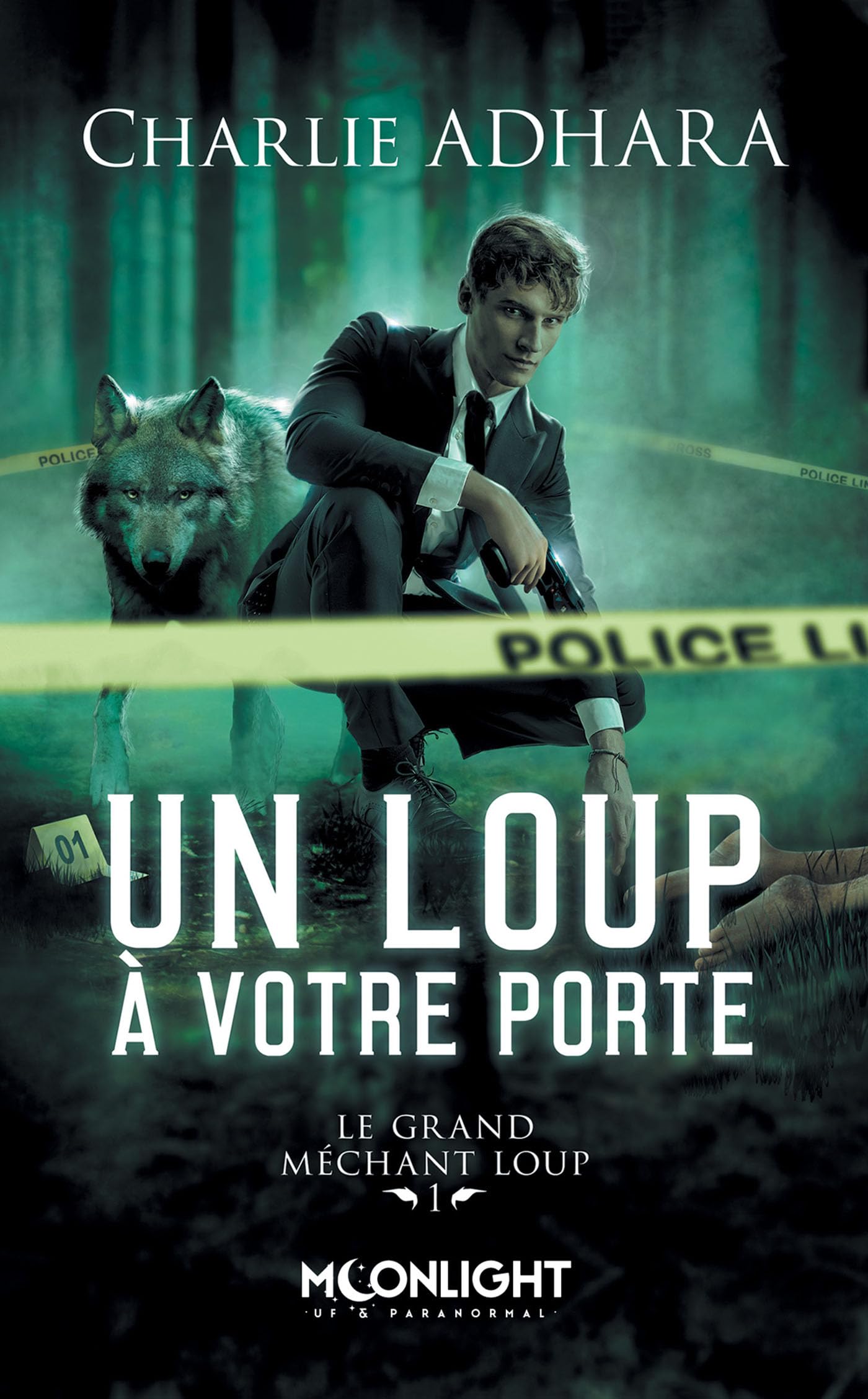 Un loup à votre porte: Le grand méchant loup 1 book