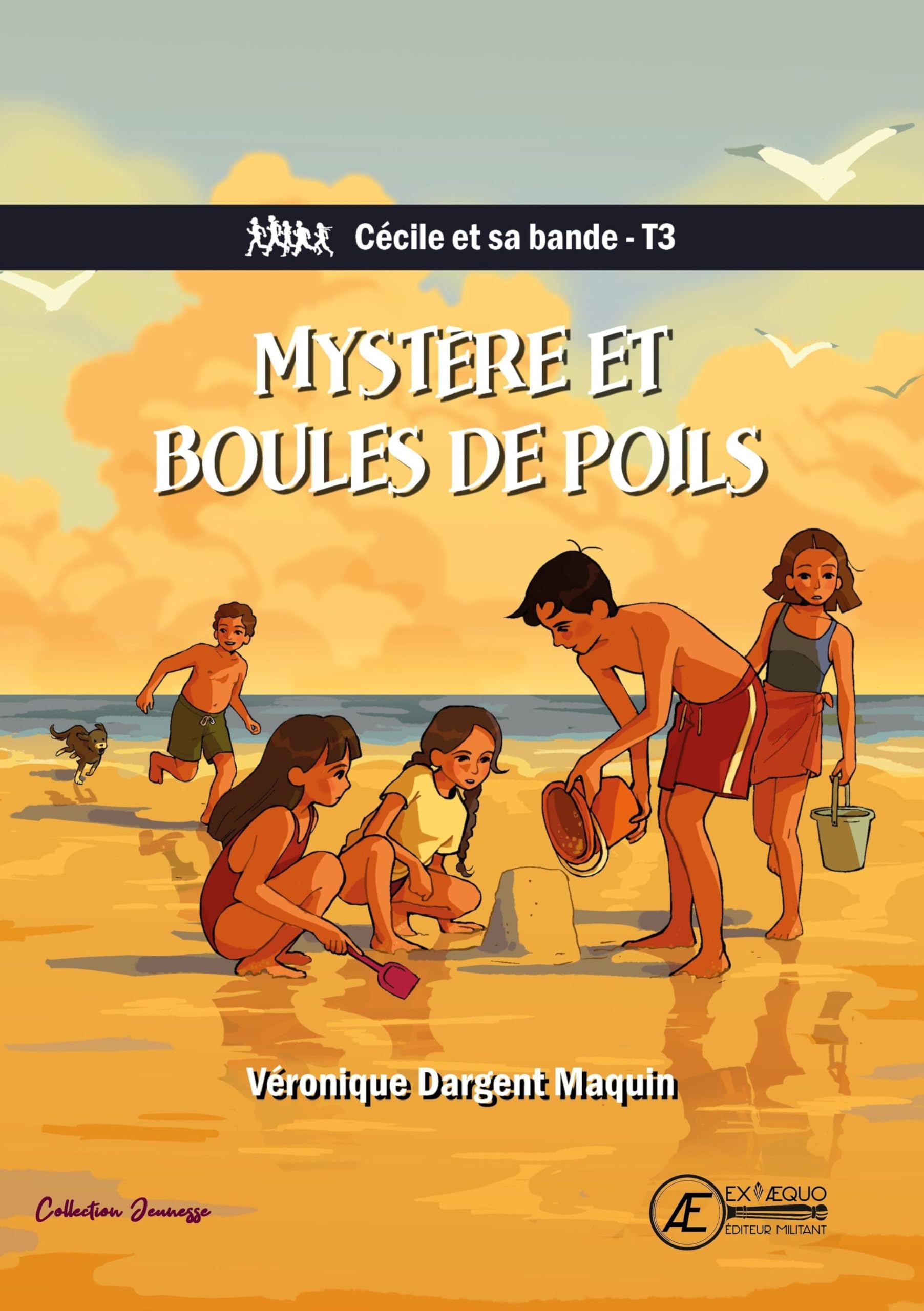 MYSTERE ET BOULES DE POILS book